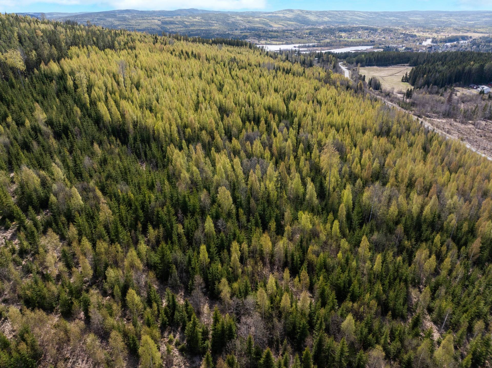 Gård med skogsbruk Stöde Sundsvalls kommun - bild 28