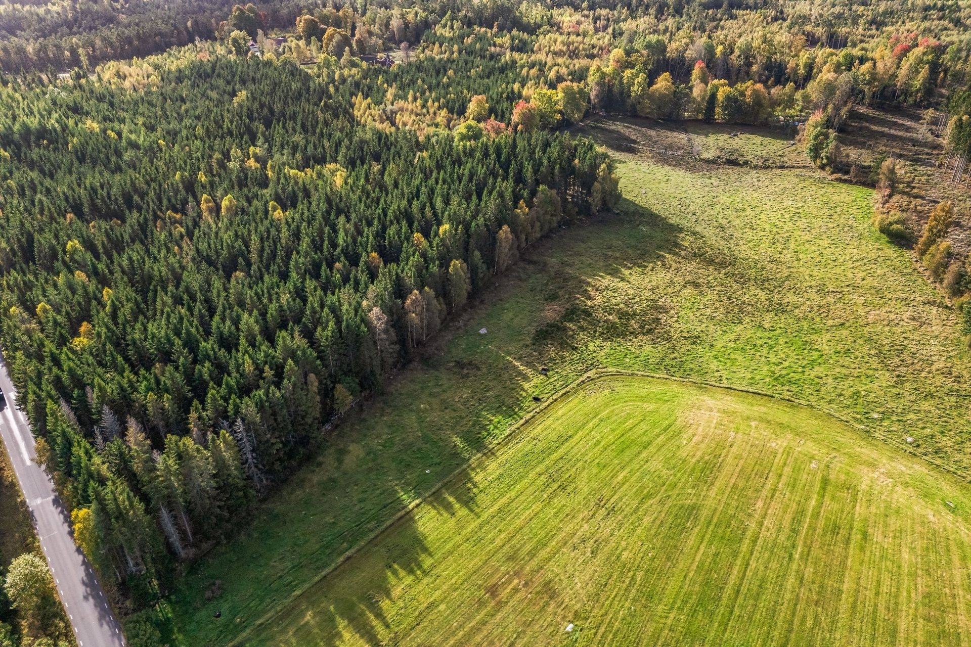 Gård/skog på Jägersborgsvägen Hässleholms kommun - bild 4