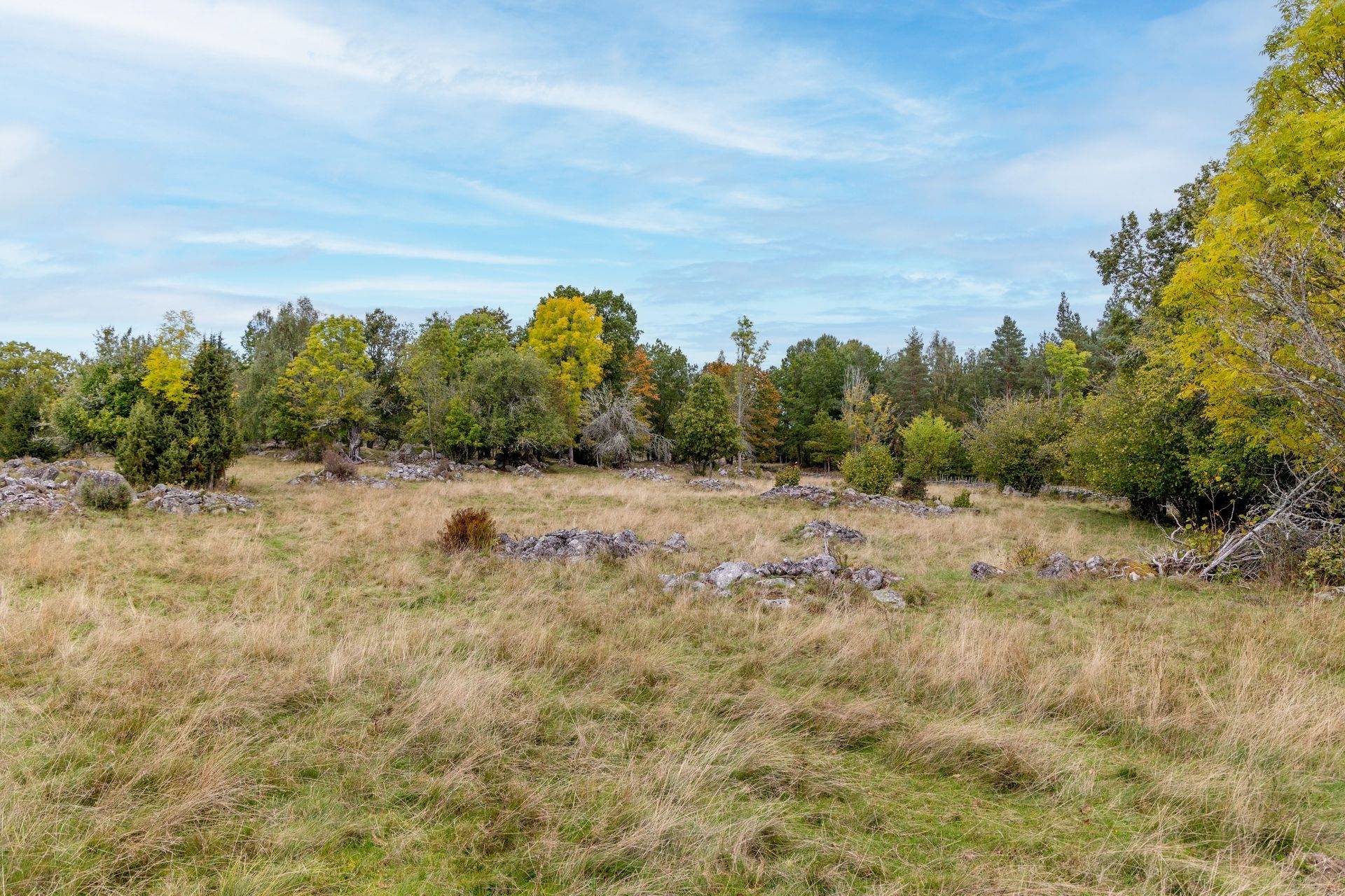 4 rum Gård/skog på Stormandebo Koltorp Västervik/Vimmerby Västerviks kommun - bild 47