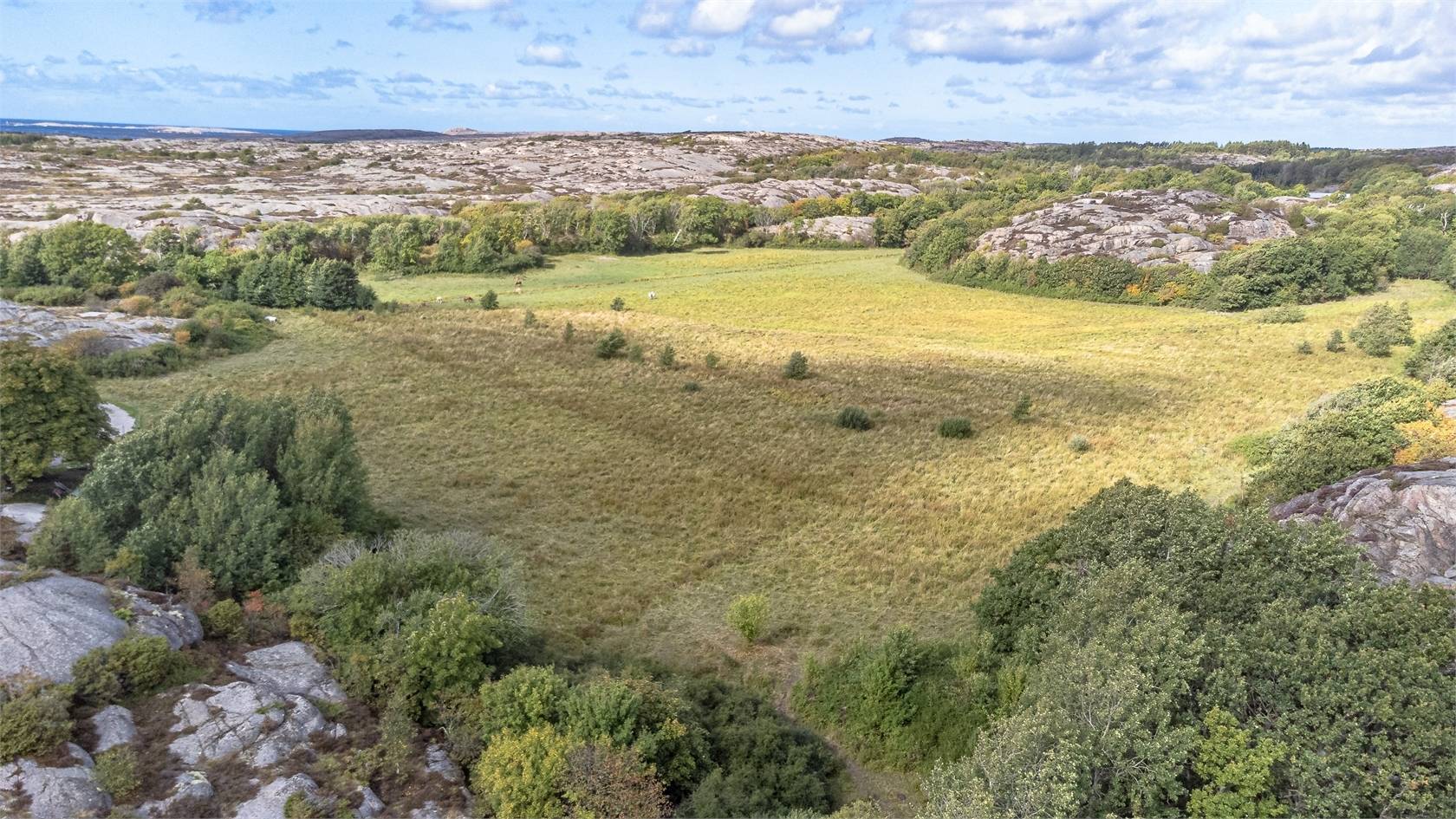 Gård/skog på Dyrstolen 2 Kungshamn Sotenäs kommun - bild 9