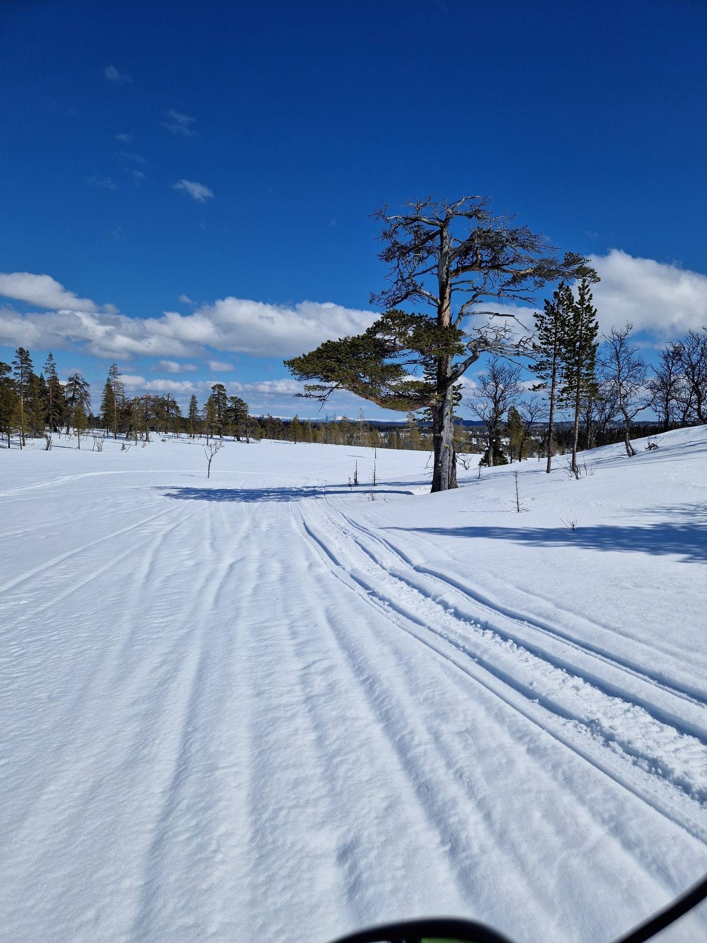 3 rum Villa på Sotarns väg 10 Älvdalens kommun - bild 23