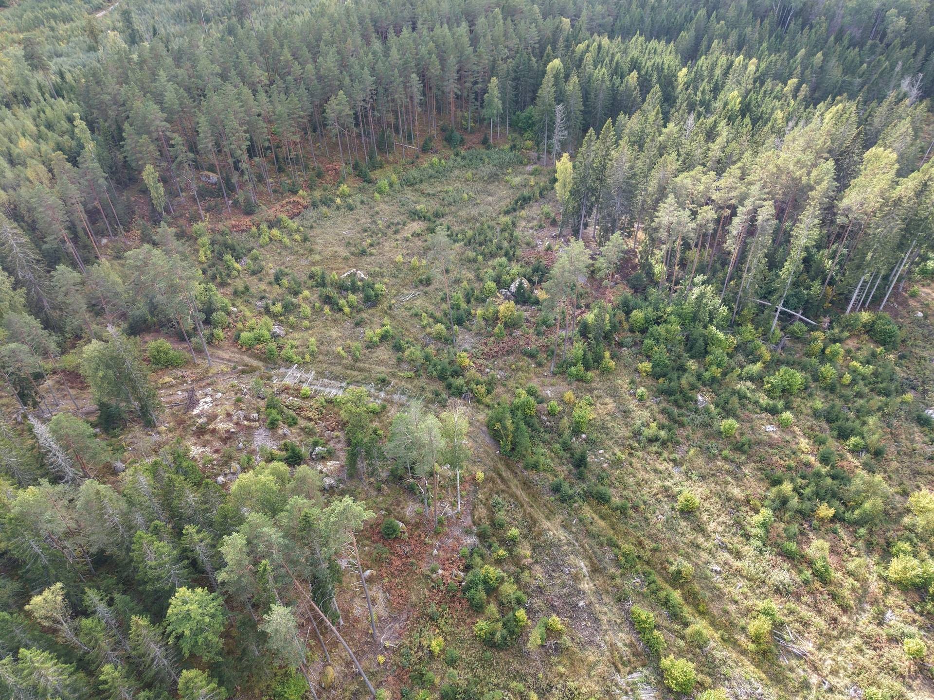 Gård med skogsbruk på NORRTÄLJE SÖDERMARJUM 2:2 Norrtälje kommun - bild 8