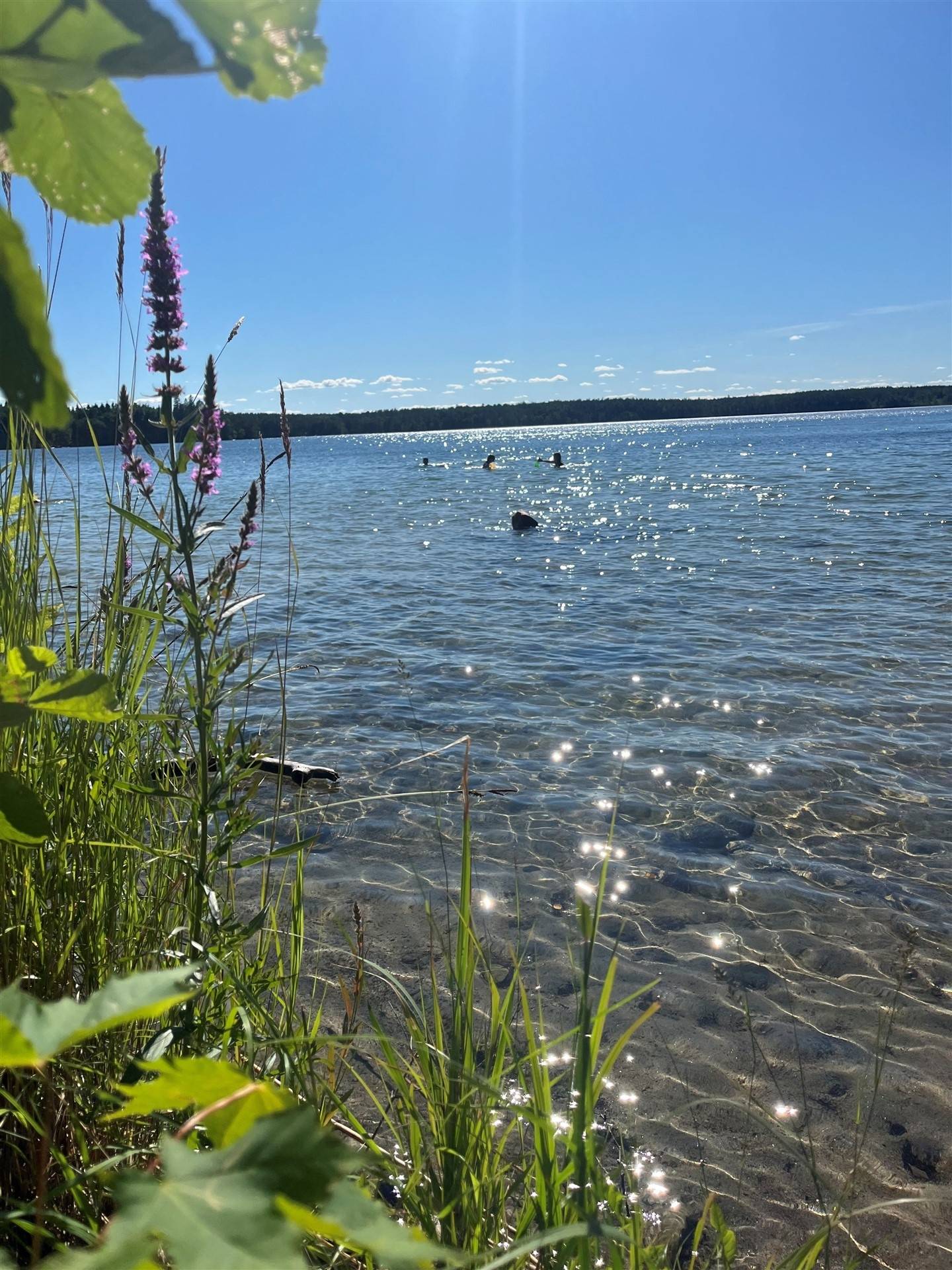 4 rum Fritidshus på Hårsbodavägen 23 Ekeby Norrtälje kommun - bild 44