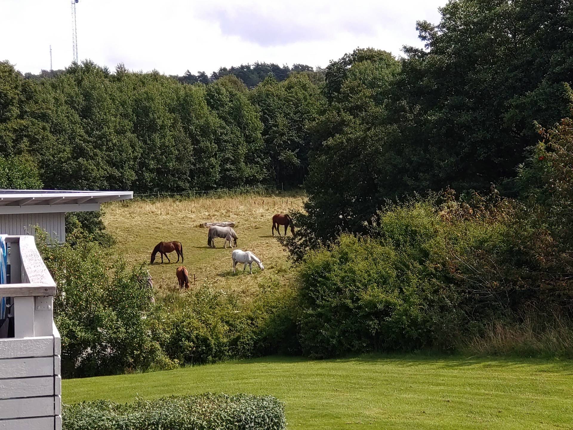 4 rum Lägenhet på Uggledalsvägen 119 Hovås Göteborgs kommun - bild 32