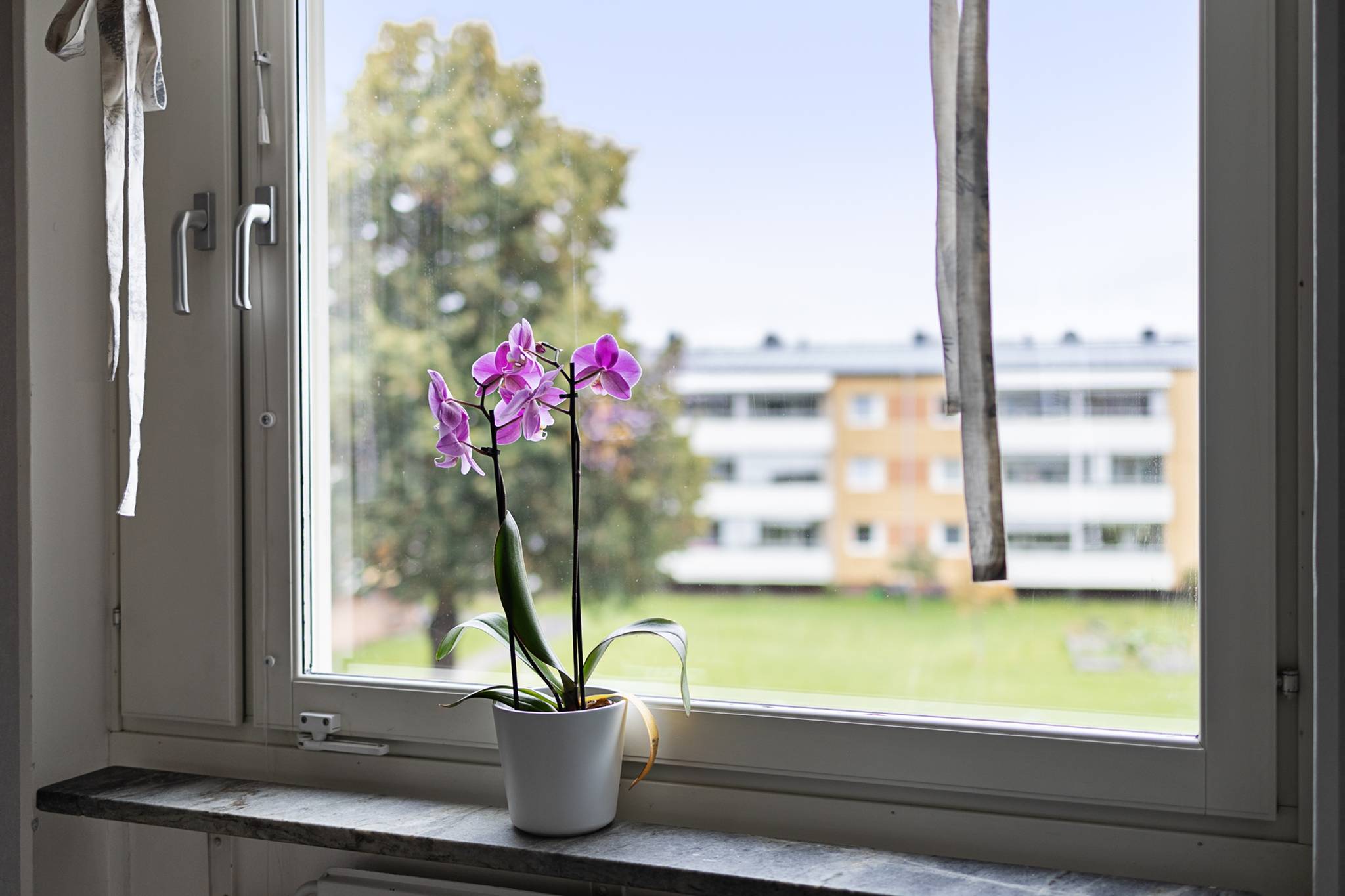 2 rum Lägenhet på Timotejvägen 16 Västerslätt Umeå kommun - bild 3