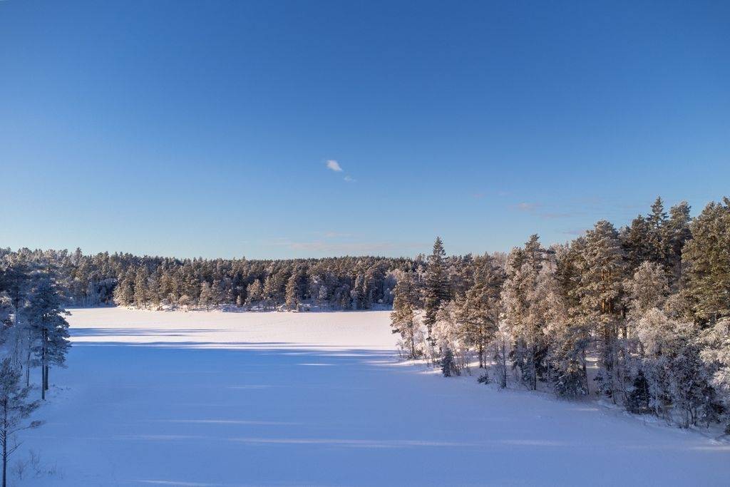 Gård med skogsbruk på Håbols-Äng Håbol Dals-Eds kommun - bild 2