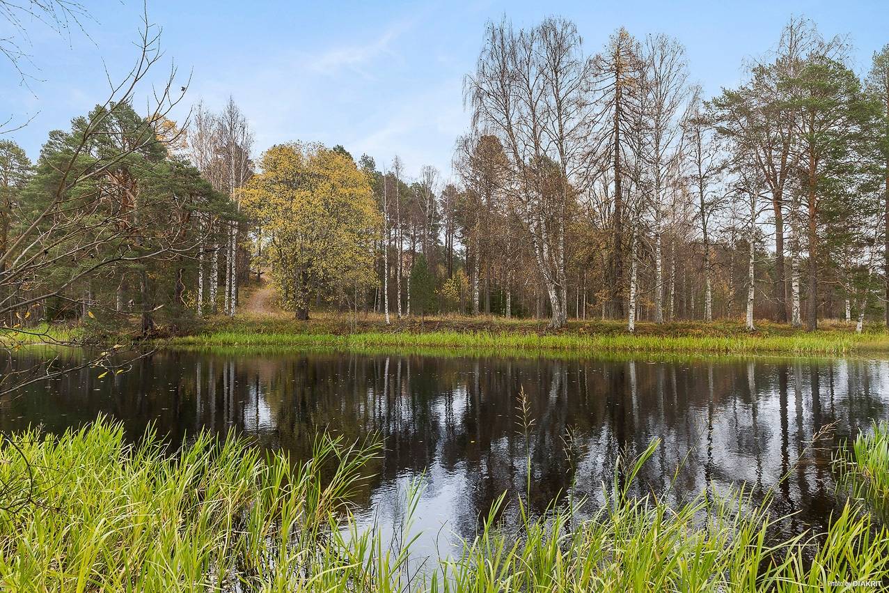 7 rum Villa på Lasarettsvägen 16 Strömsunds kommun - bild 24