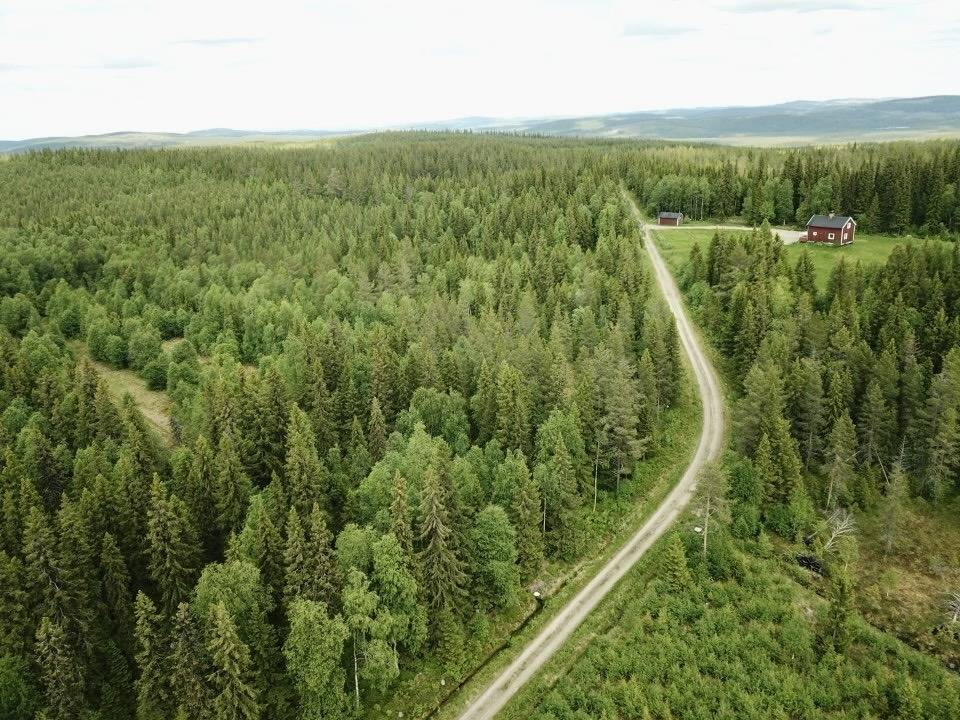 Gård/skog på Tallträskliden Fjällstugan 1 Lycksele kommun - bild 18