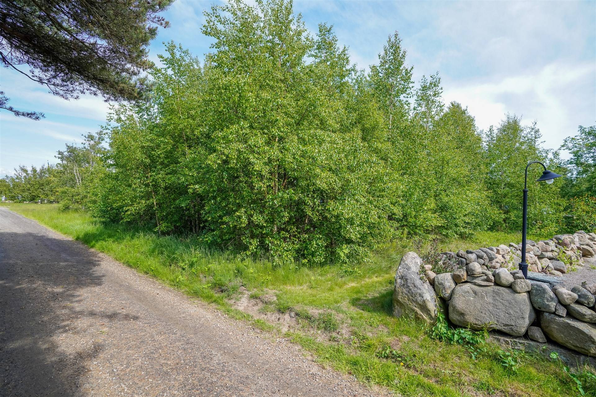 Tomt på Tegvägen 6/Majes väg 8 Rosendal Falkenbergs kommun - bild 9