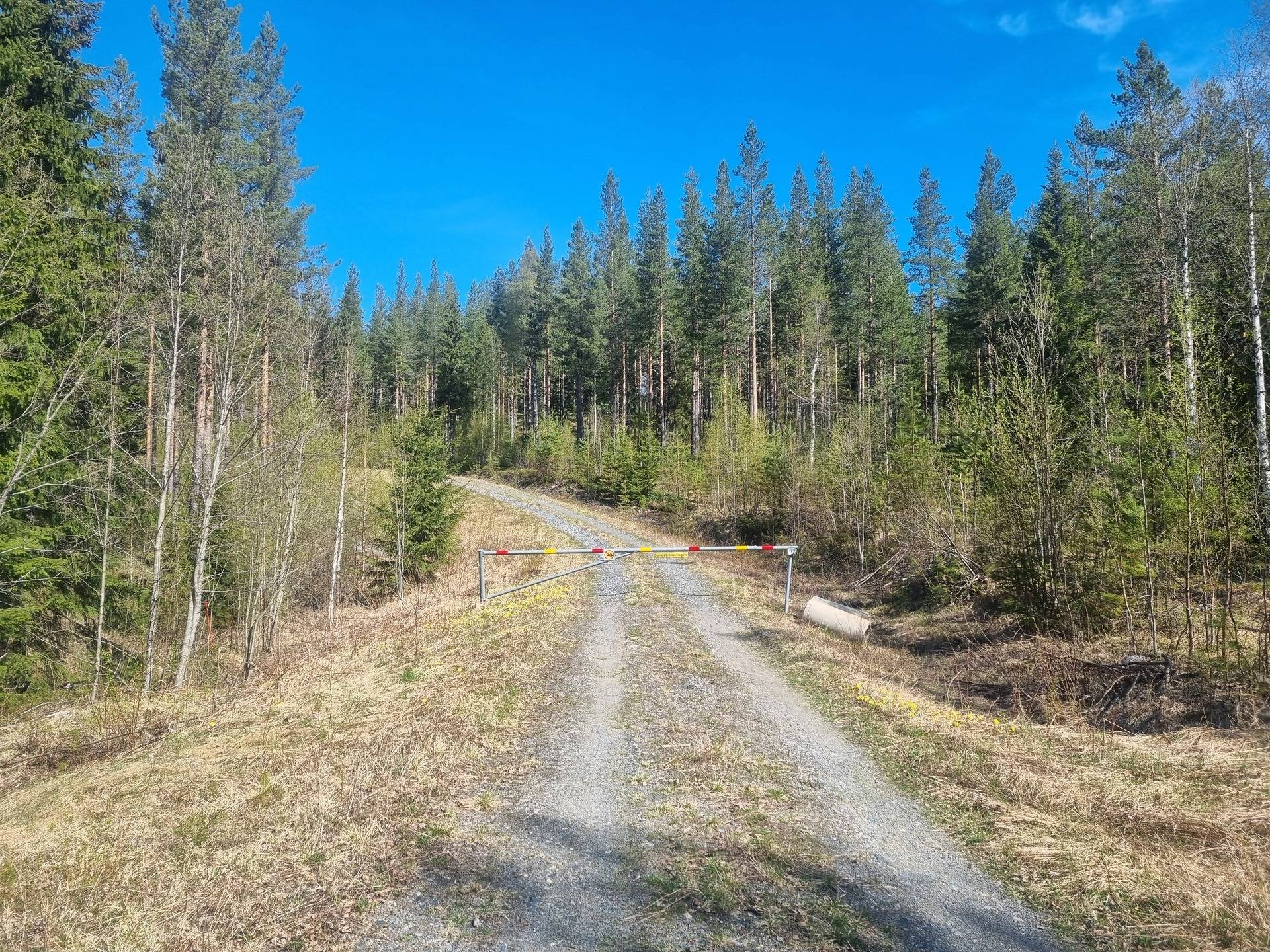 Gård med skogsbruk Örnsköldsvik Örnsköldsviks kommun - bild 2