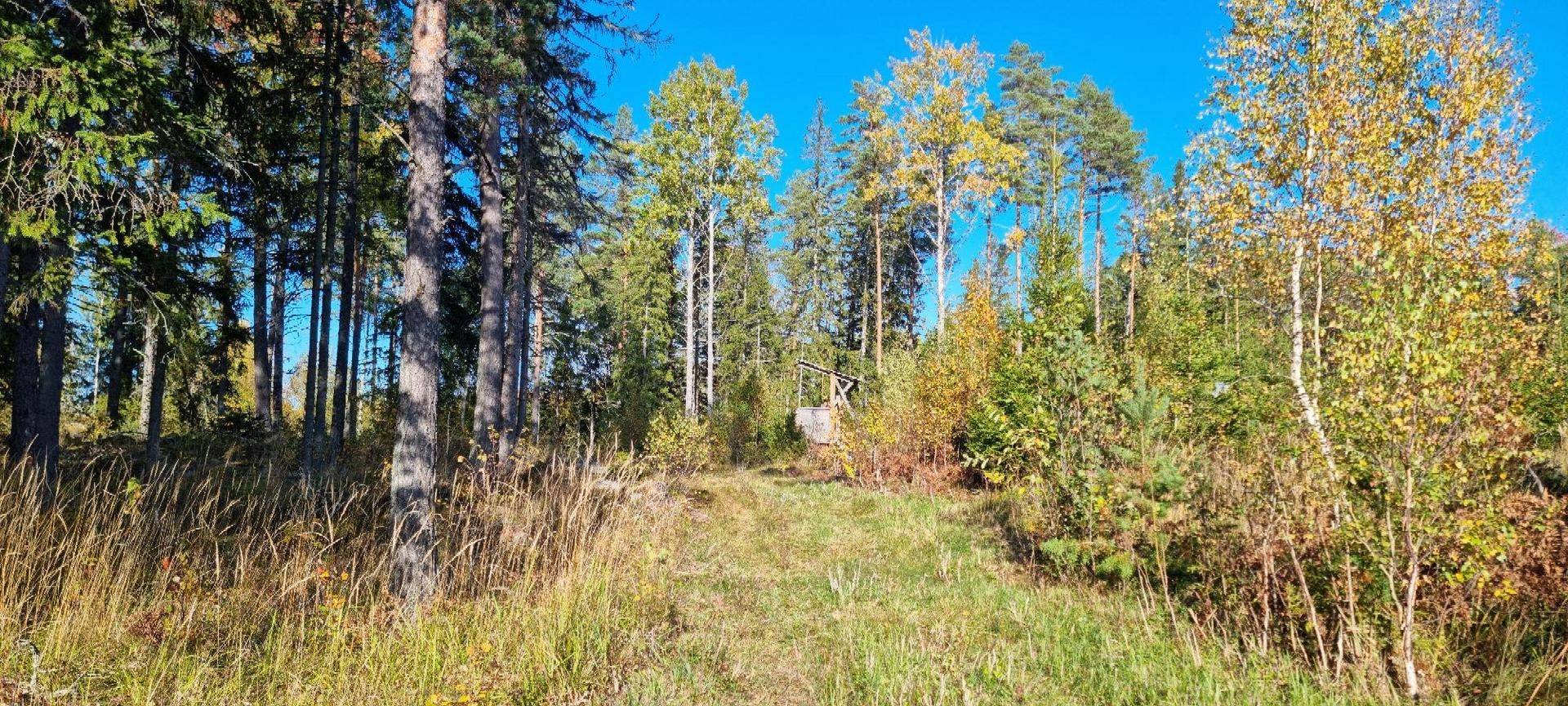 Gård/skog på Vamsta, intill naturreservatet Östhammars kommun - bild 26