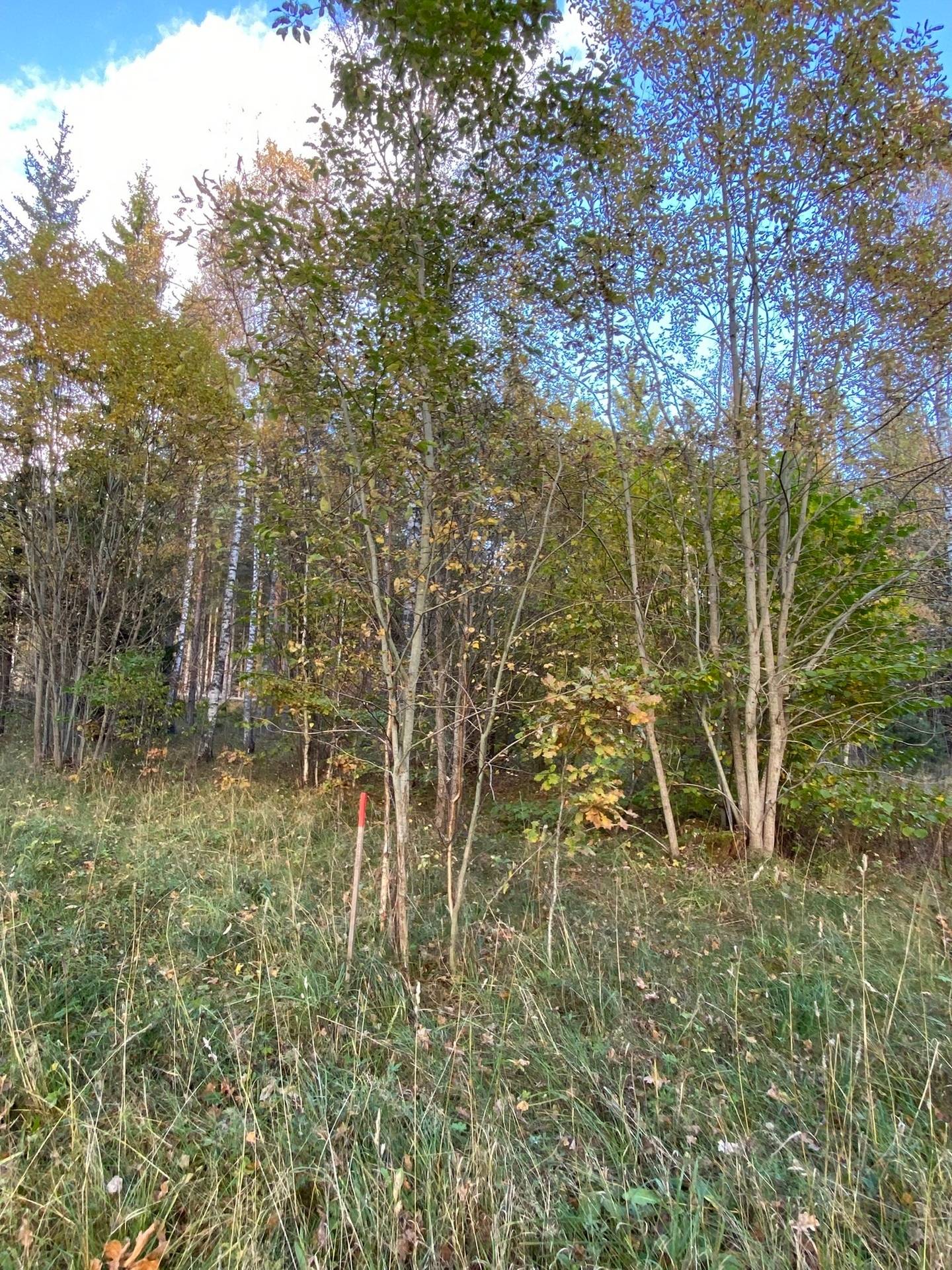 Tomt på Ubbyvägen 55 Norrtälje kommun - bild 11