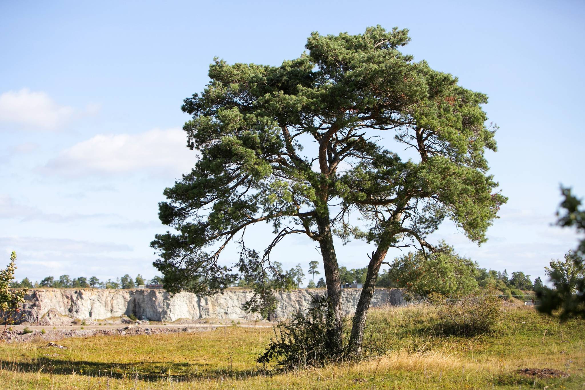 Tomt på Höga land 16 Gotland Gotlands kommun - bild 5