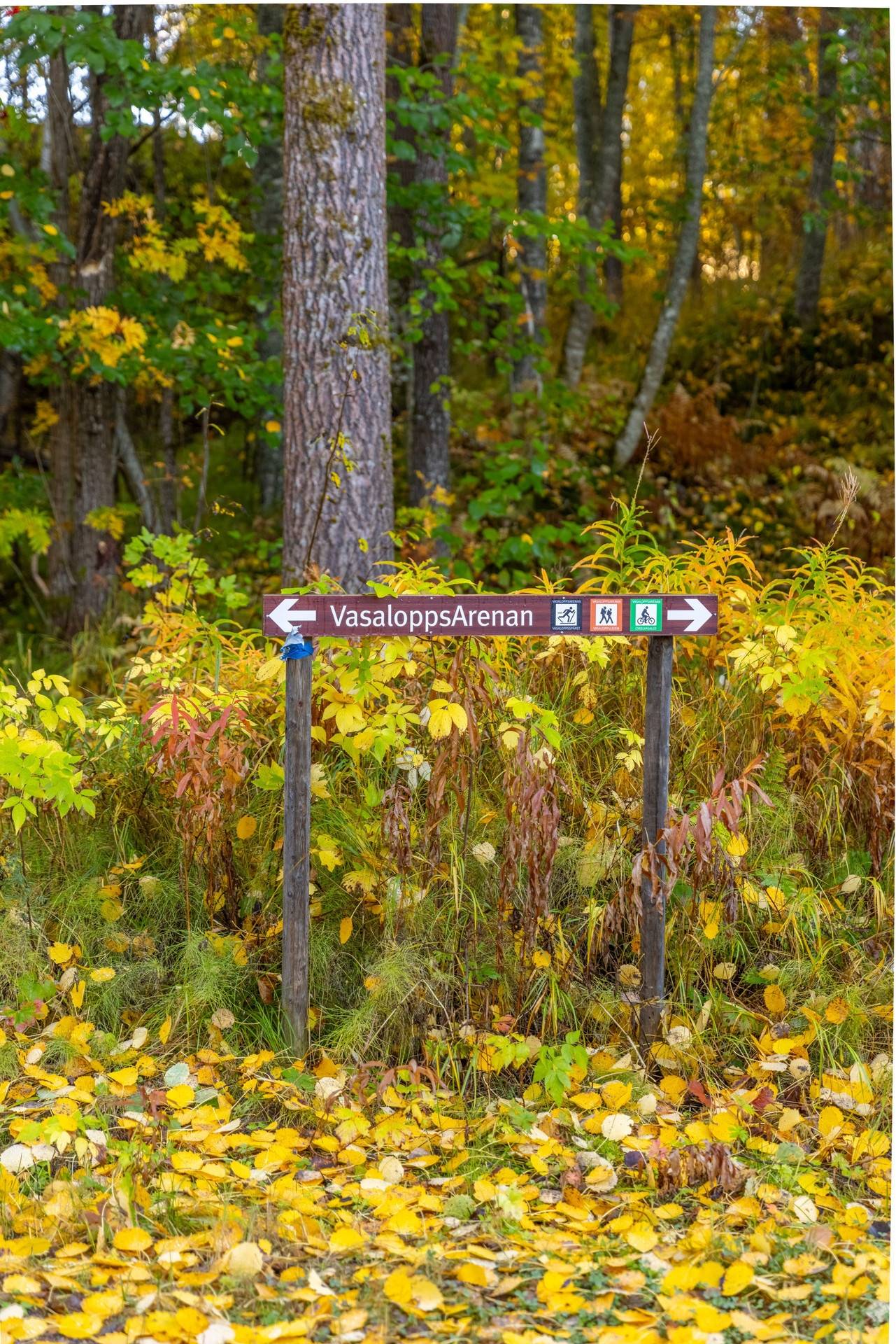 6 rum Villa på Bryggerivägen 22 Hemus Mora kommun - bild 65