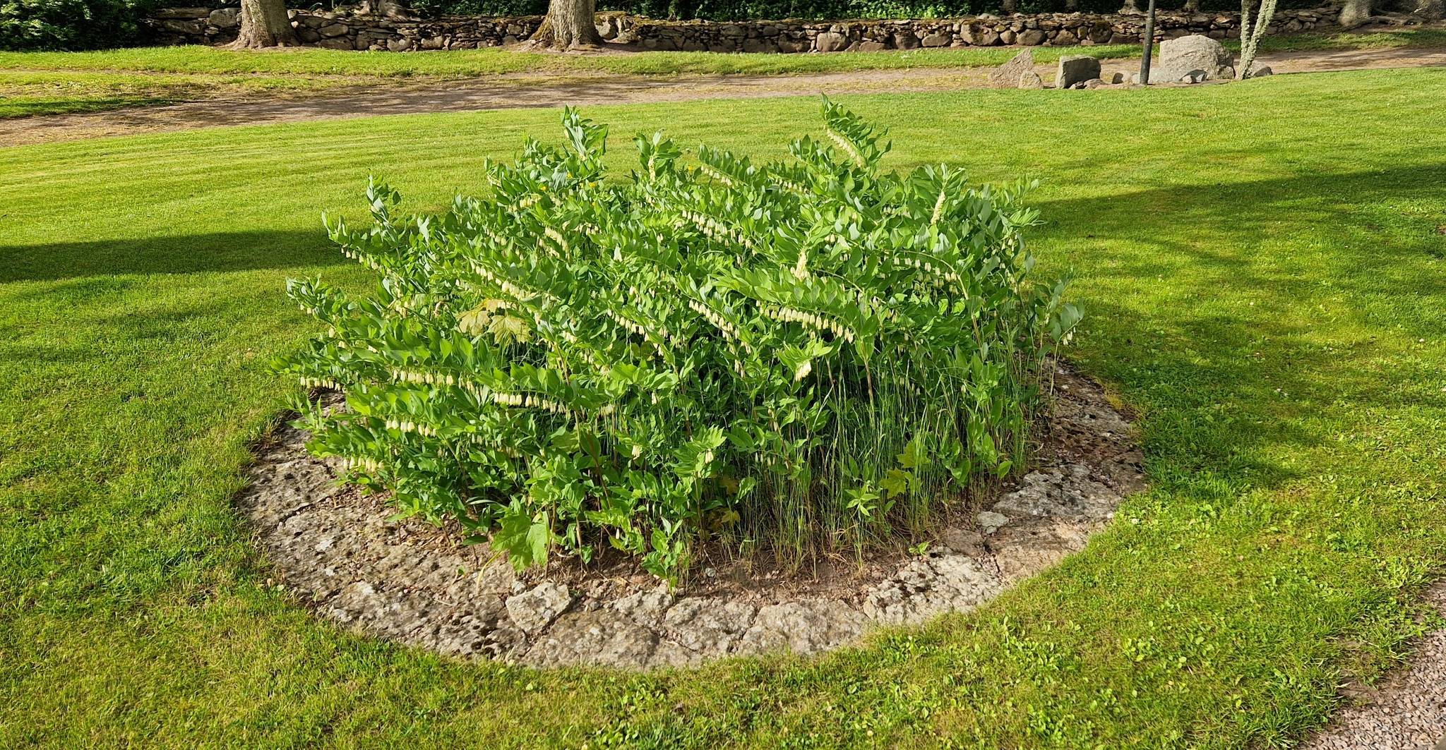 6 rum Gård/skog på Hångsdala Knaggården 1 Tidaholms kommun - bild 55