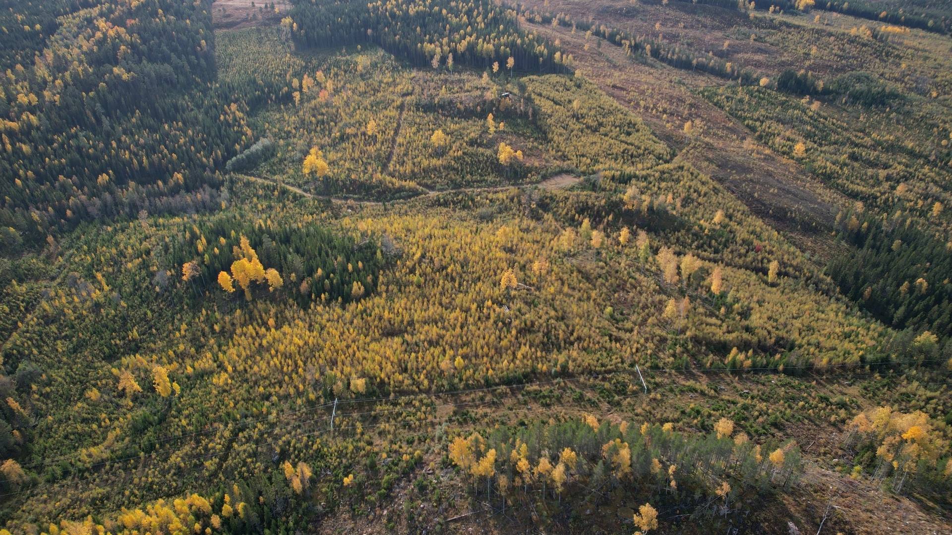 Gård/skog på RAGUNDA RAGUNDA-BÖLE 2:107 Ragunda kommun - bild 20