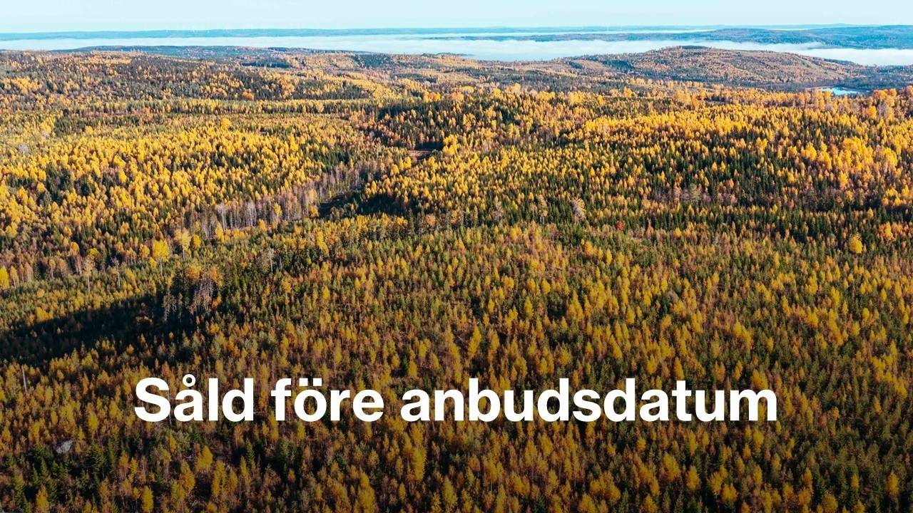 gård med skogsbruk på ÅNGE BACKEN 4:20 Torpshammar, Ånge kommun - bild 1