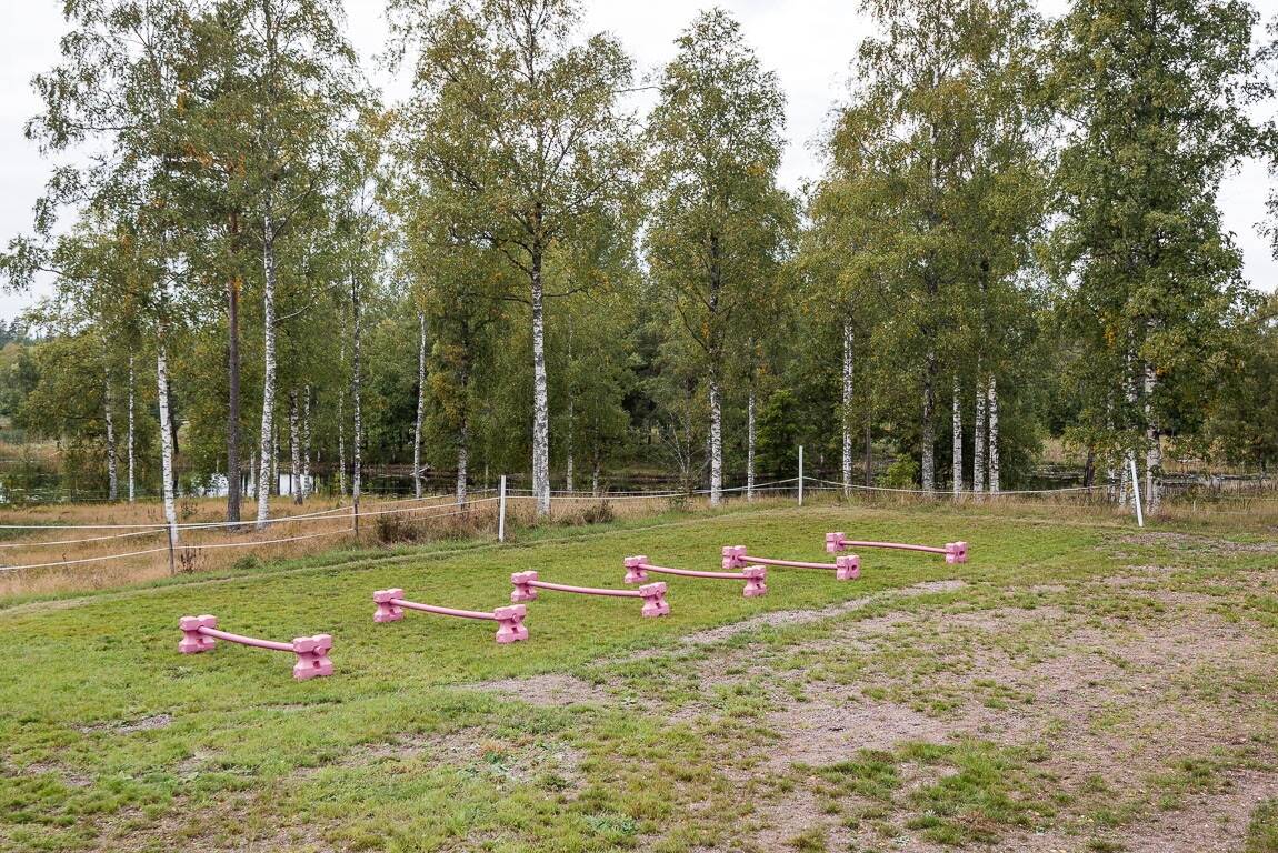9 rum Gård/skog på Brygghusvägen 10 och 14 Hedemora kommun - bild 70
