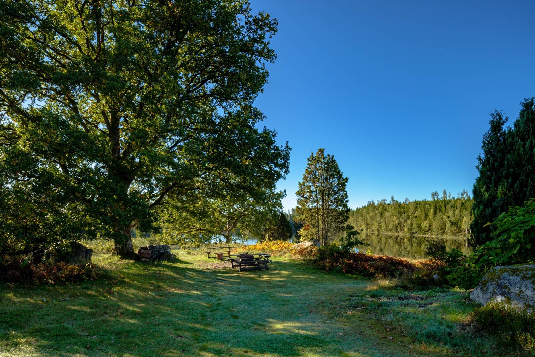 Gård/skog på Åshuvud Björsbo 1 Gnosjö Gnosjö kommun - bild 23