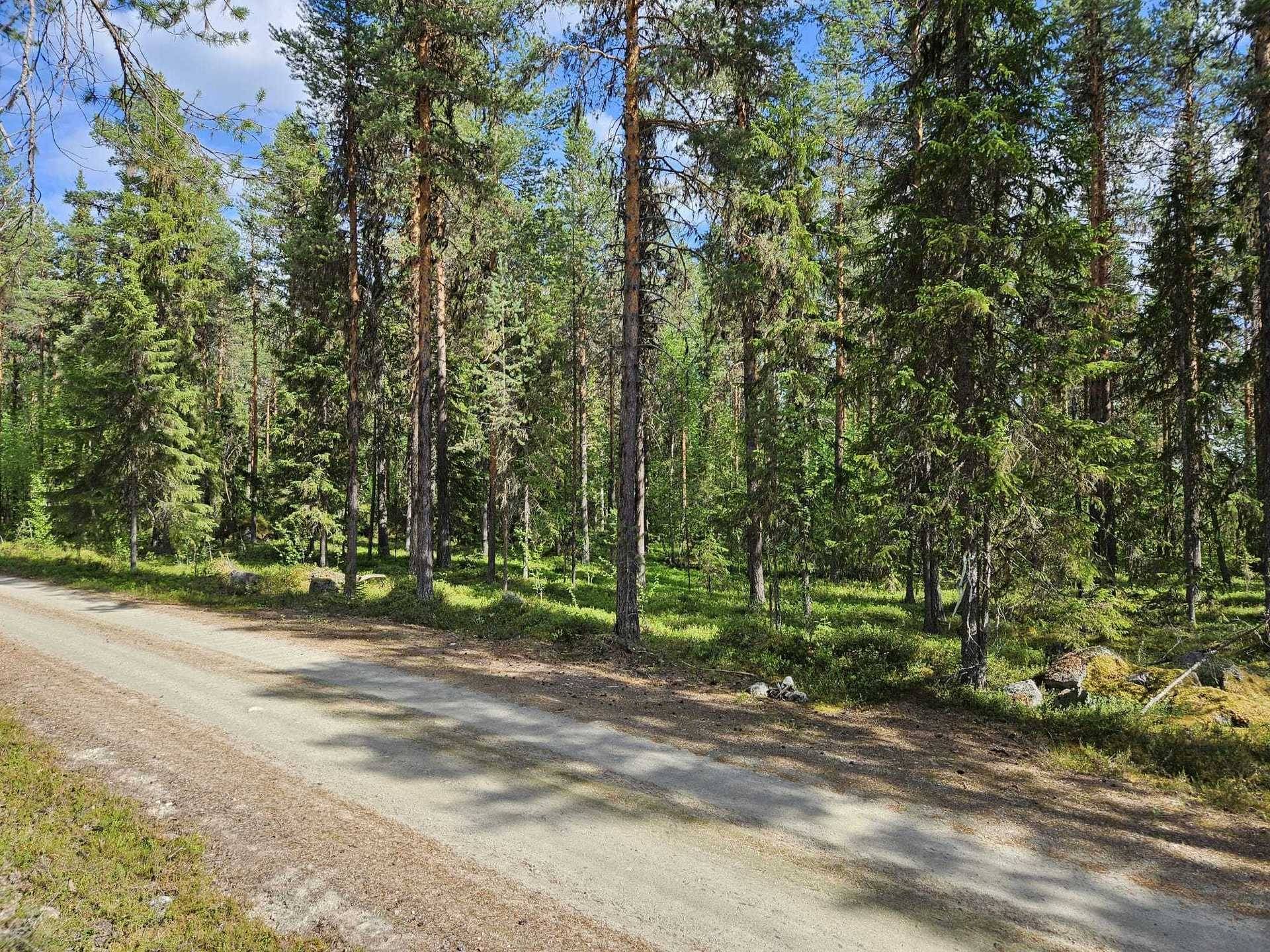 Gård med skogsbruk på Skog Lycksele Rusksele 2:42 Rusksele Lycksele kommun - bild 10
