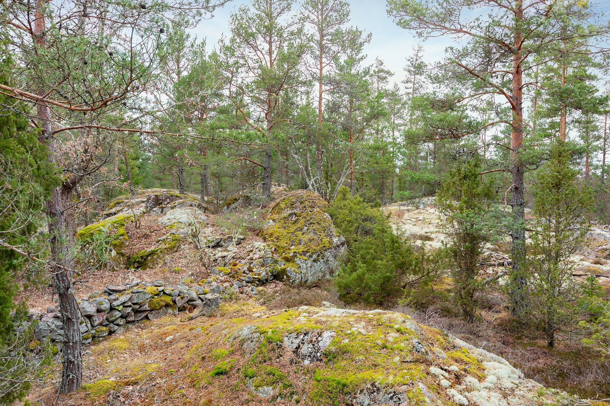 3 rum Villa på Skogdala Agneskog Norrköpings kommun - bild 6