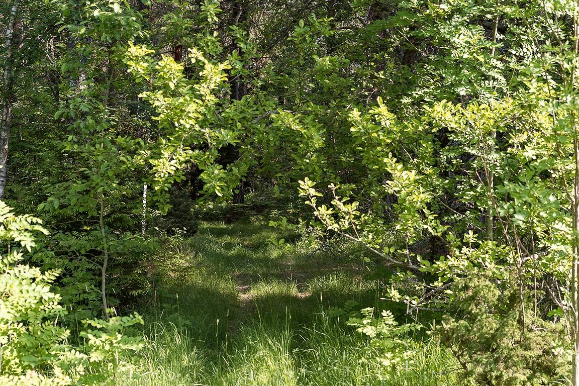 5 rum Villa på Lilla Segerstavägen 4 Håbo - Segersta / Hjälstaviken Håbo kommun - bild 43