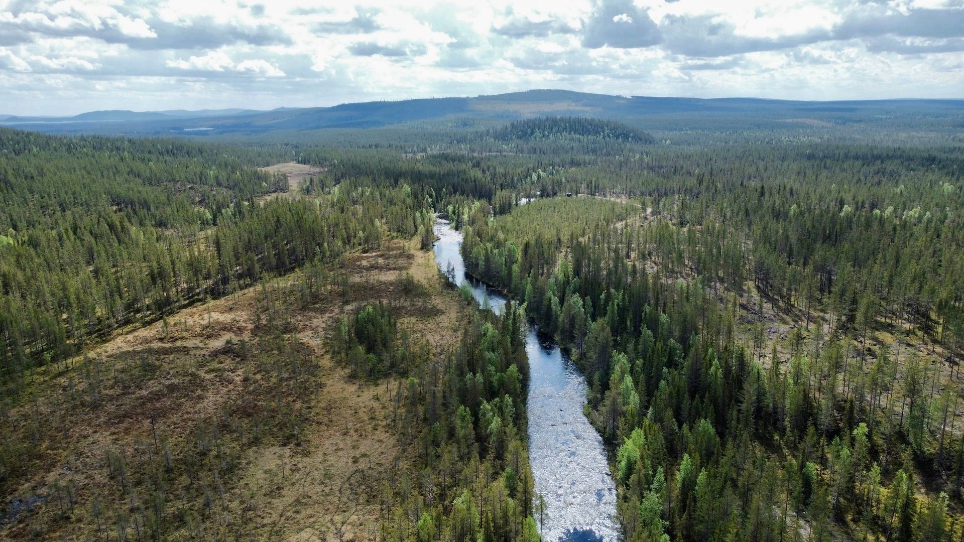 Gård med skogsbruk på Skog kring Tjärnberg Malå kommun - bild 4