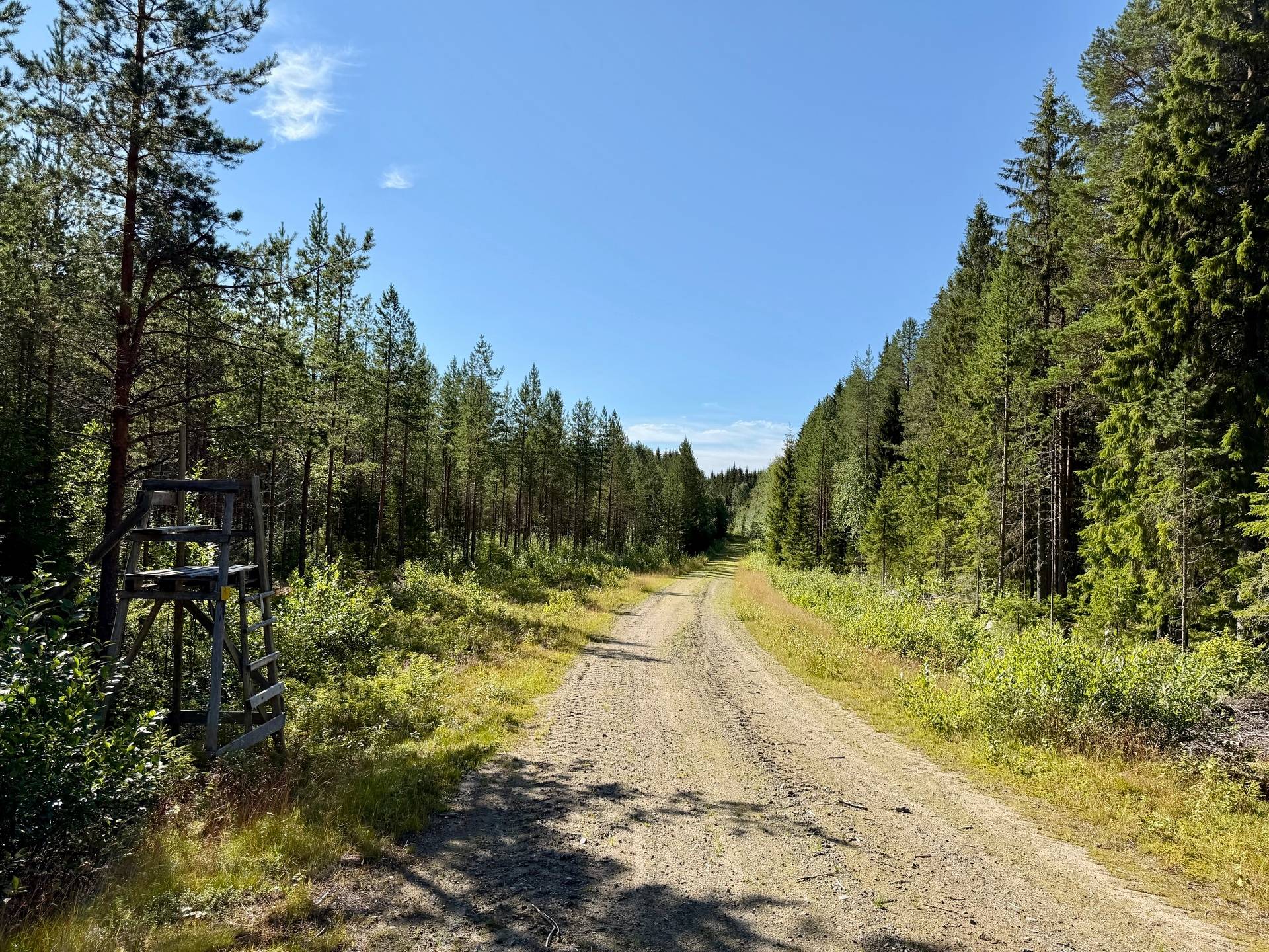 Gård med skogsbruk på Vebomark Vebomark Skellefteå kommun - bild 15
