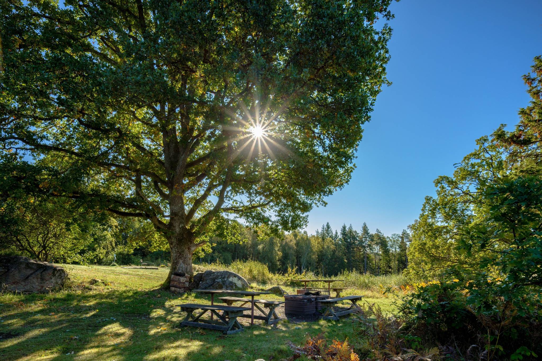Gård/skog på Åshuvud Björsbo 1 Gnosjö Gnosjö kommun - bild 6