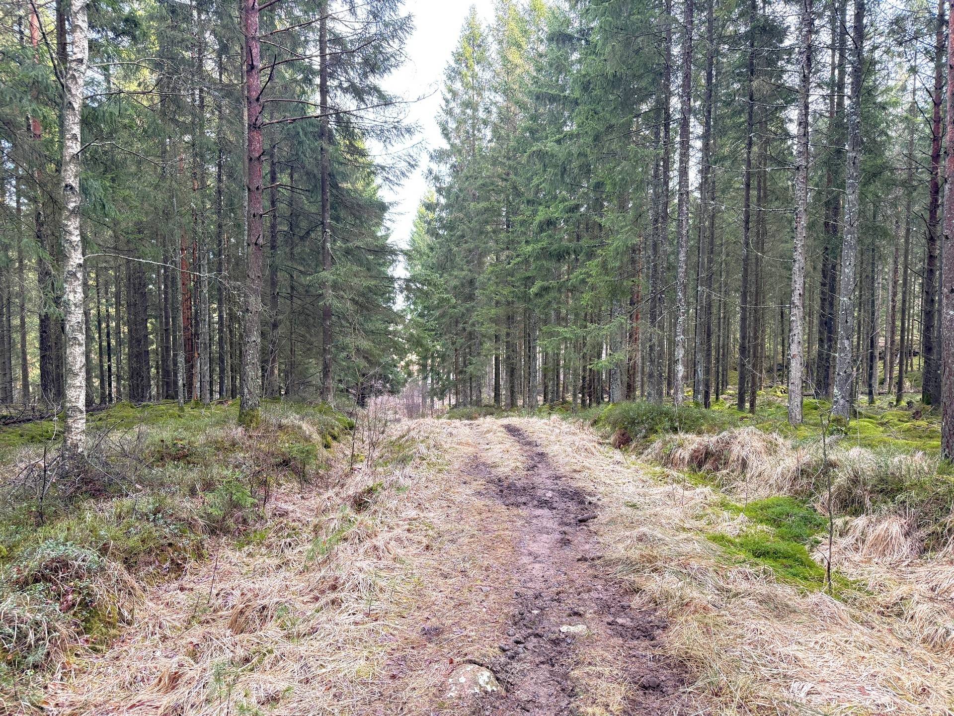 Gård med skogsbruk på Stillestorp 1:1 Lerum Lerums kommun - bild 35