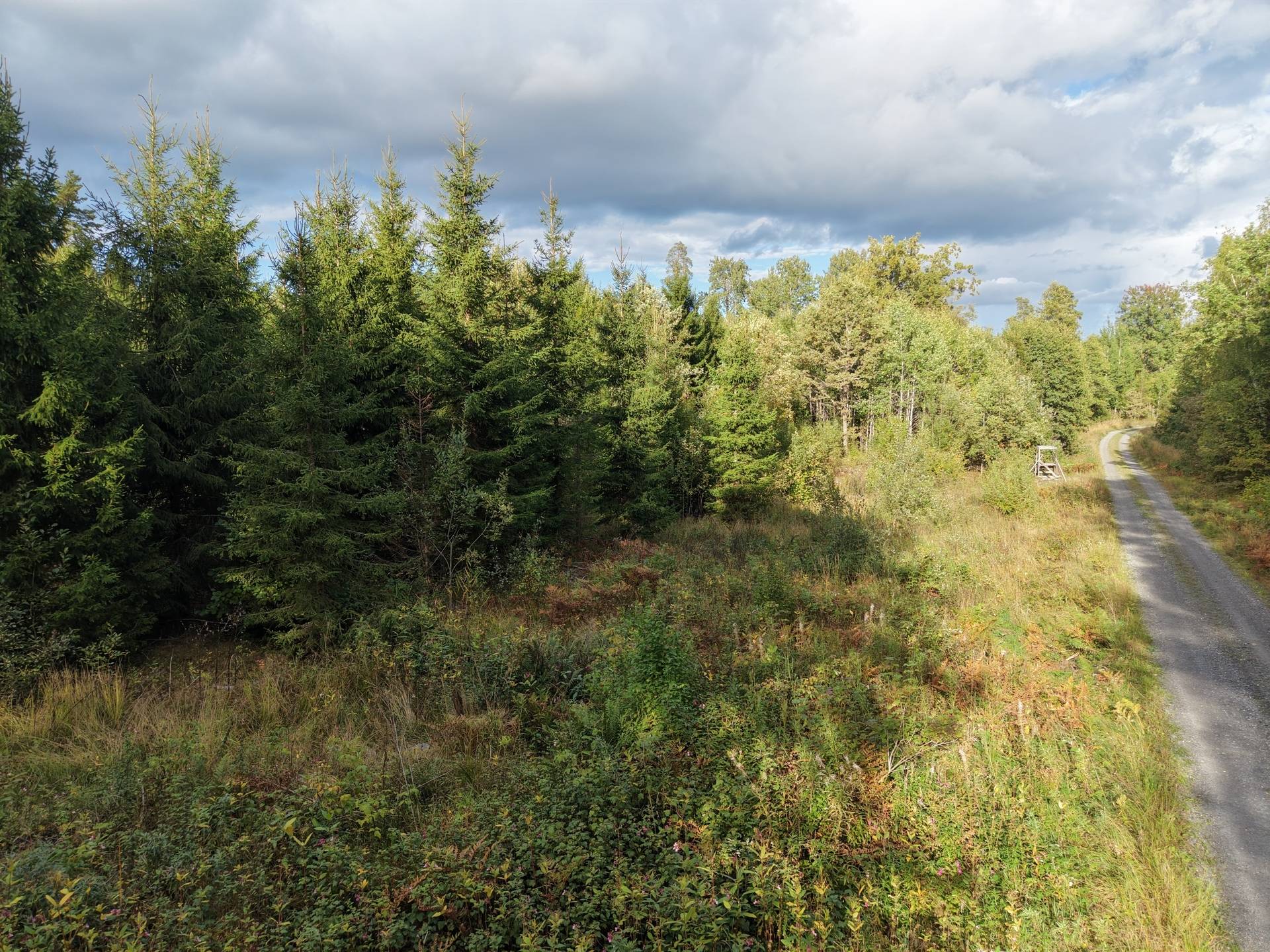 Gård med skogsbruk på NORRTÄLJE SÖDERMARJUM 2:2 Norrtälje kommun - bild 9