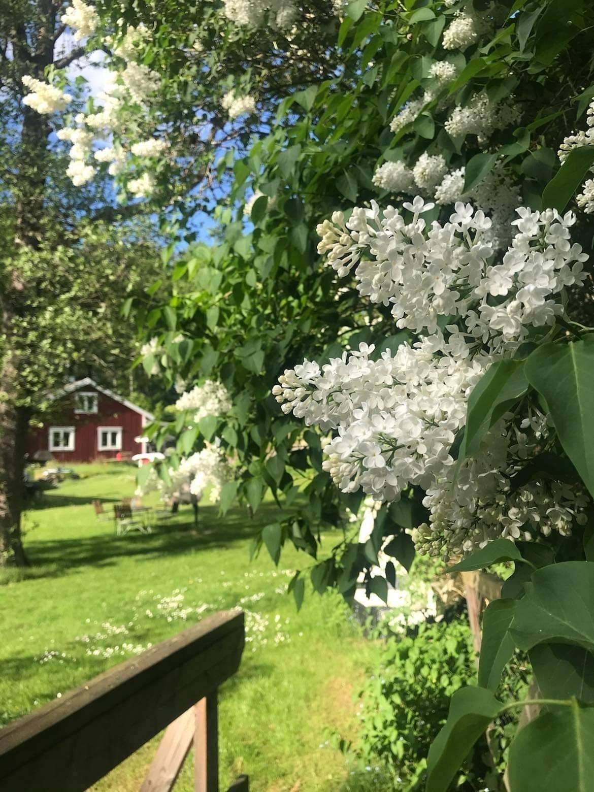 4 rum Villa på Stenfors Kvarn Tingsryd Tingsryds kommun - bild 89