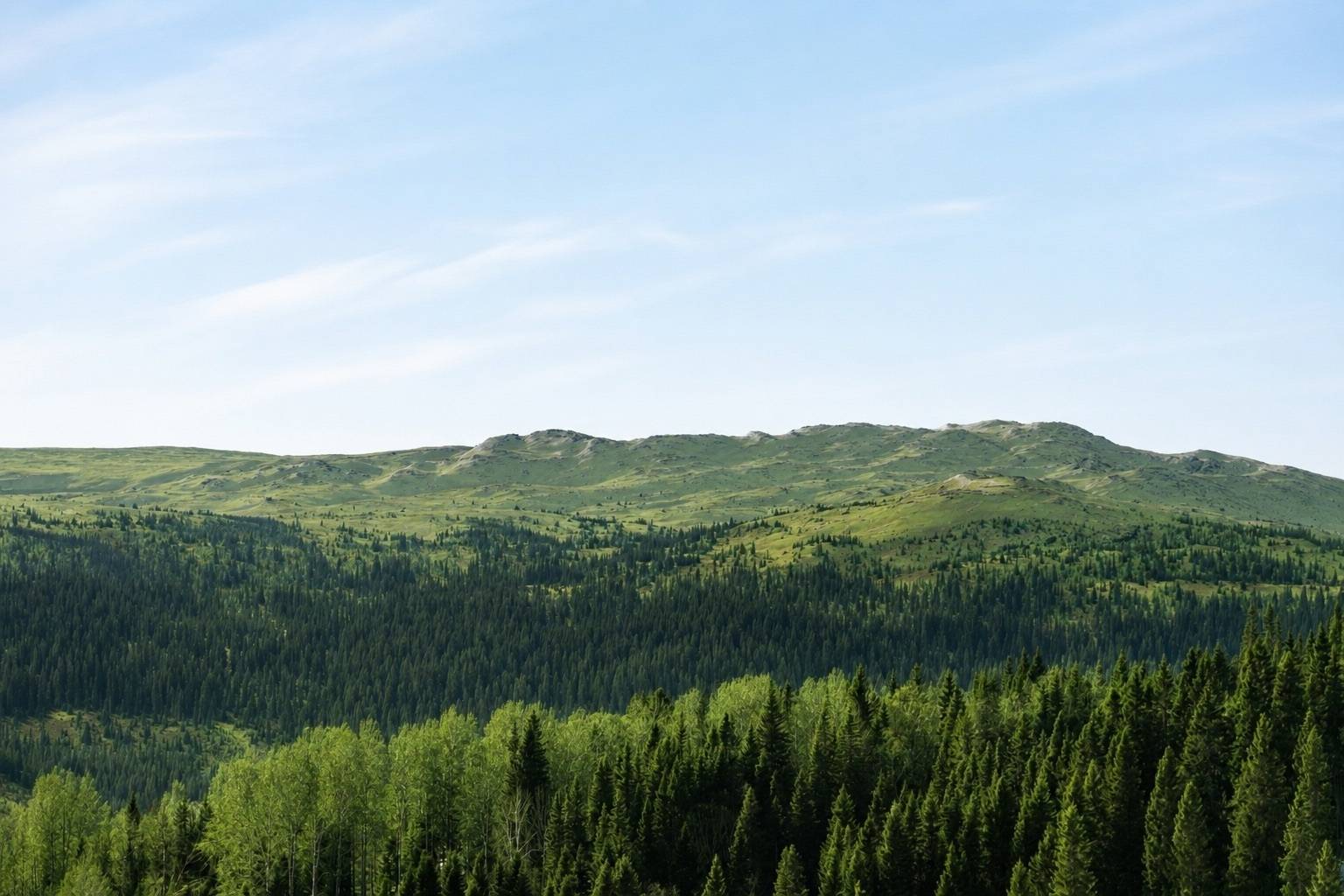 4 rum Lägenhet på Högåsstigen 17C Åre Sadeln Åre kommun - bild 19