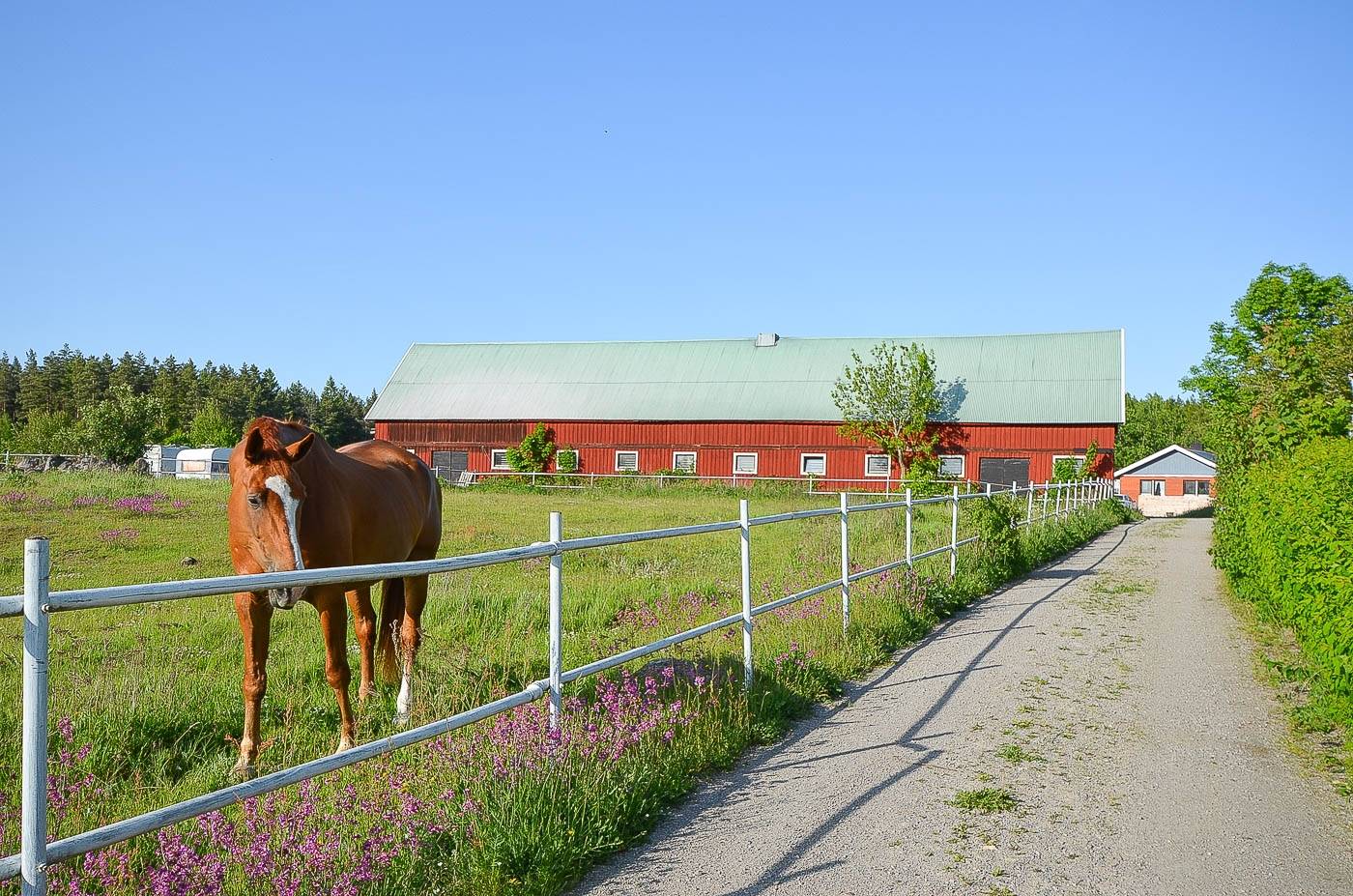 5 rum Villa på Tomtebyholm 710 SMEDBY Kalmar kommun - bild 7
