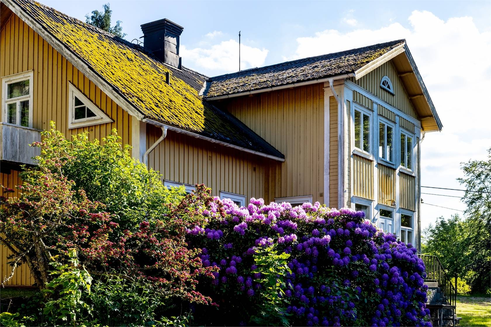 Gård/skog på Sånnahult Kurrebo 4 Urshult Tingsryds kommun - bild 11
