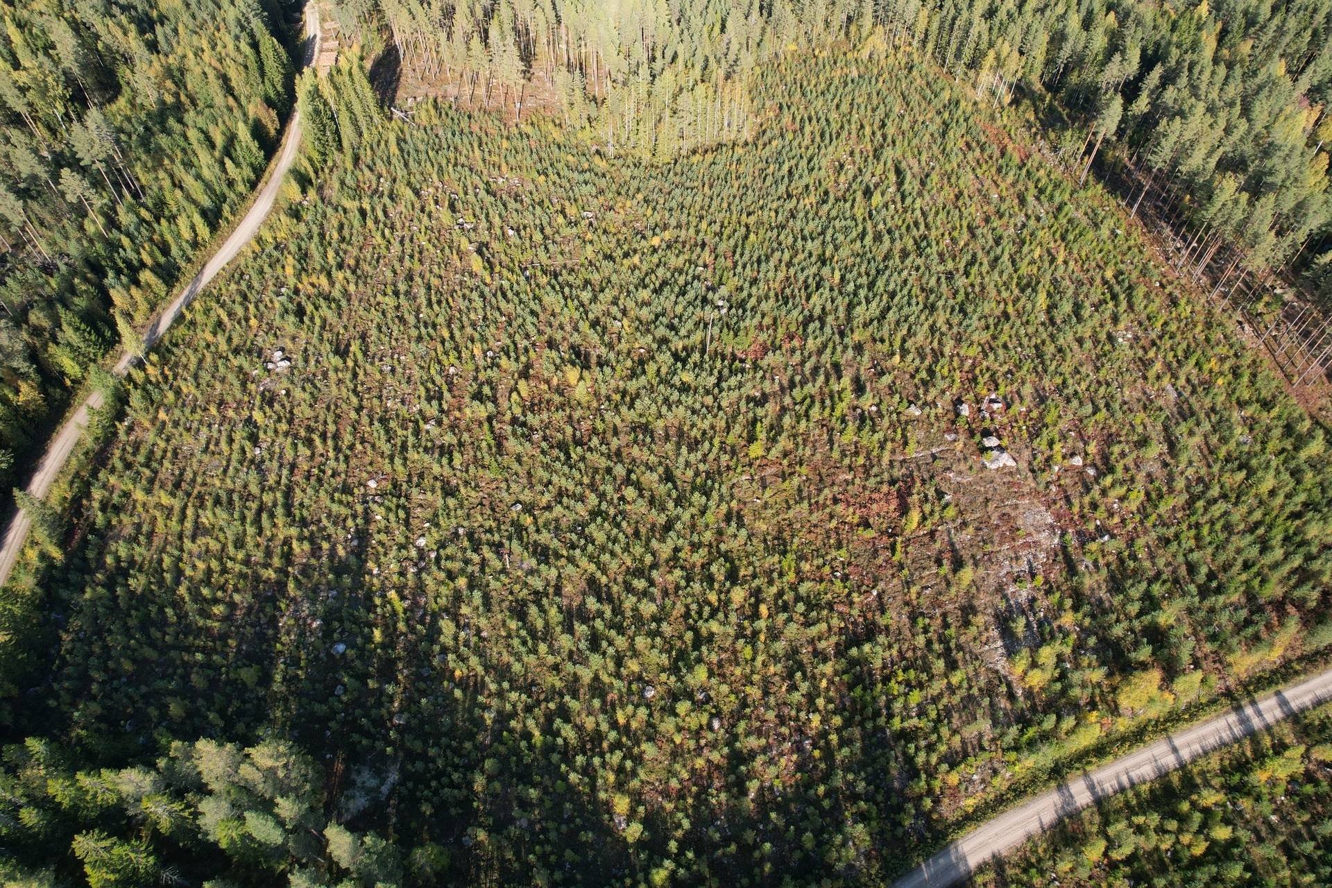 Gård med jordbruk på Sömskars skogen Sandvikens kommun - bild 36