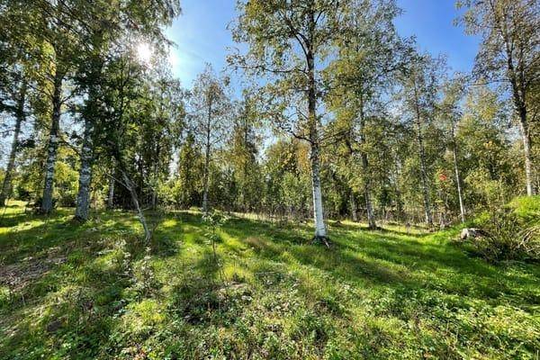 Älvdalen, Älvdalens kommun