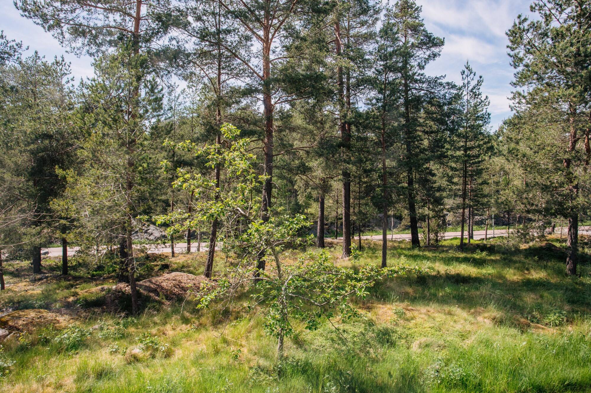 2 rum Lägenhet på Horsensgatan 52 Karlstads kommun - bild 21