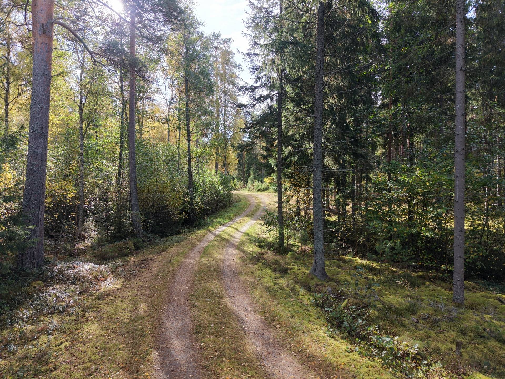 Gård med jordbruk på Vallingedal Nedergård Vallingedal Kinda kommun - bild 45