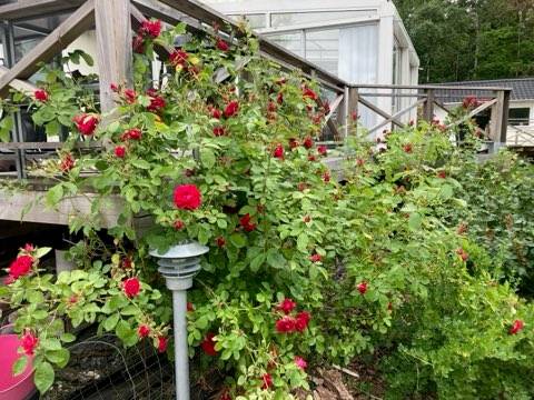 4 rum Villa på Gamla Kilandavägen 84 Nödinge Ale kommun - bild 38