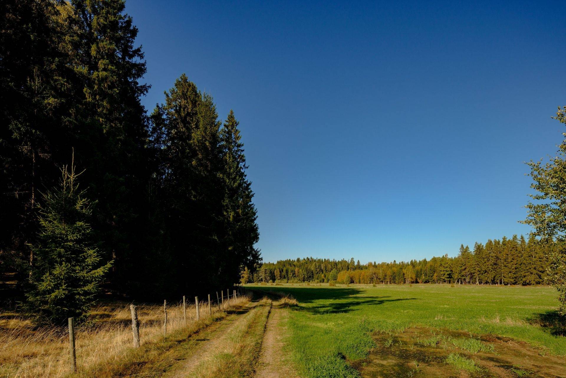 6 rum Villa på Landsvägen 45 Klevshult Vaggeryds kommun - bild 58