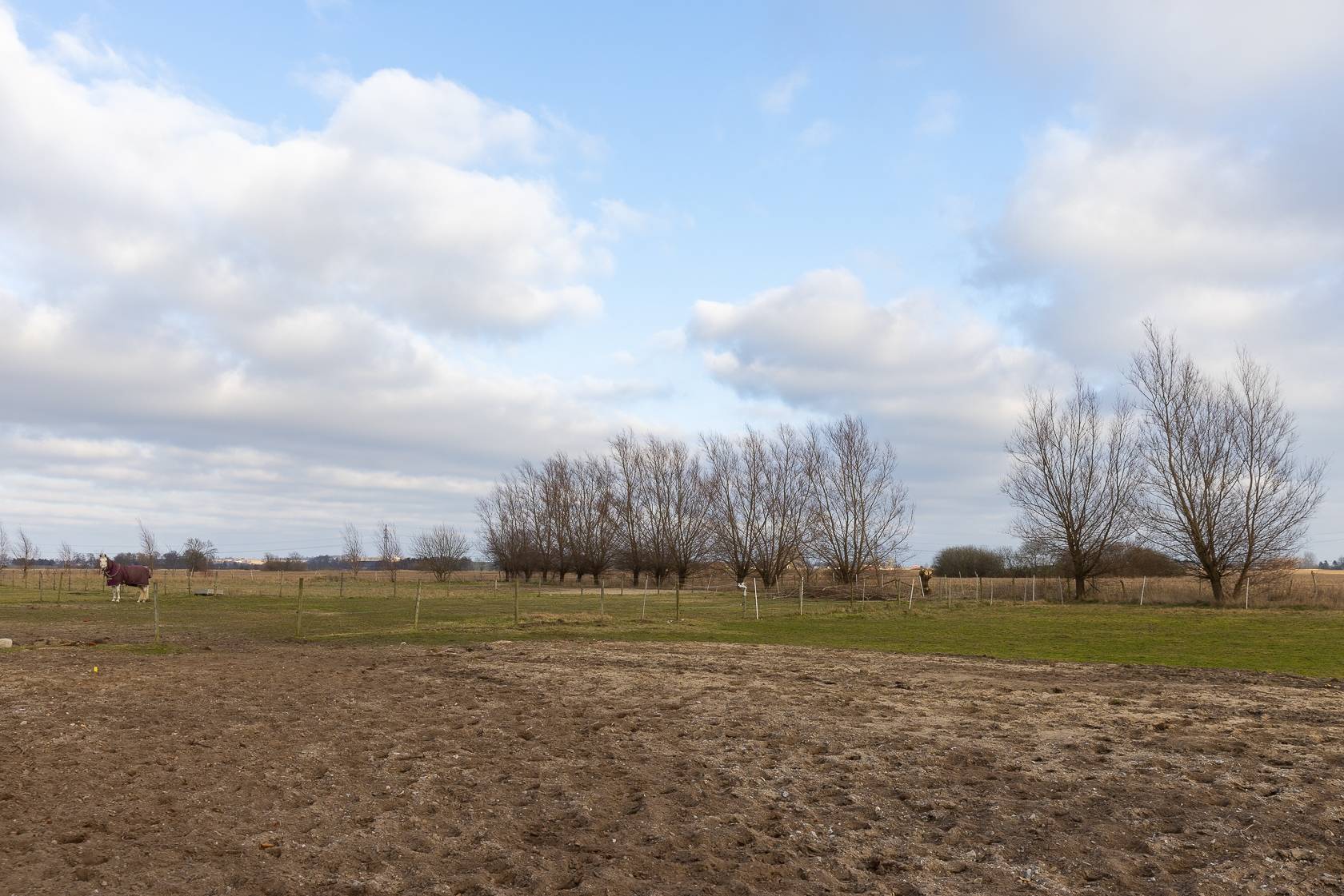 7 rum Gård utan jordbruk på Stallmästarevägen 8 Hofterup - Henkelstorp Kävlinge kommun - bild 49