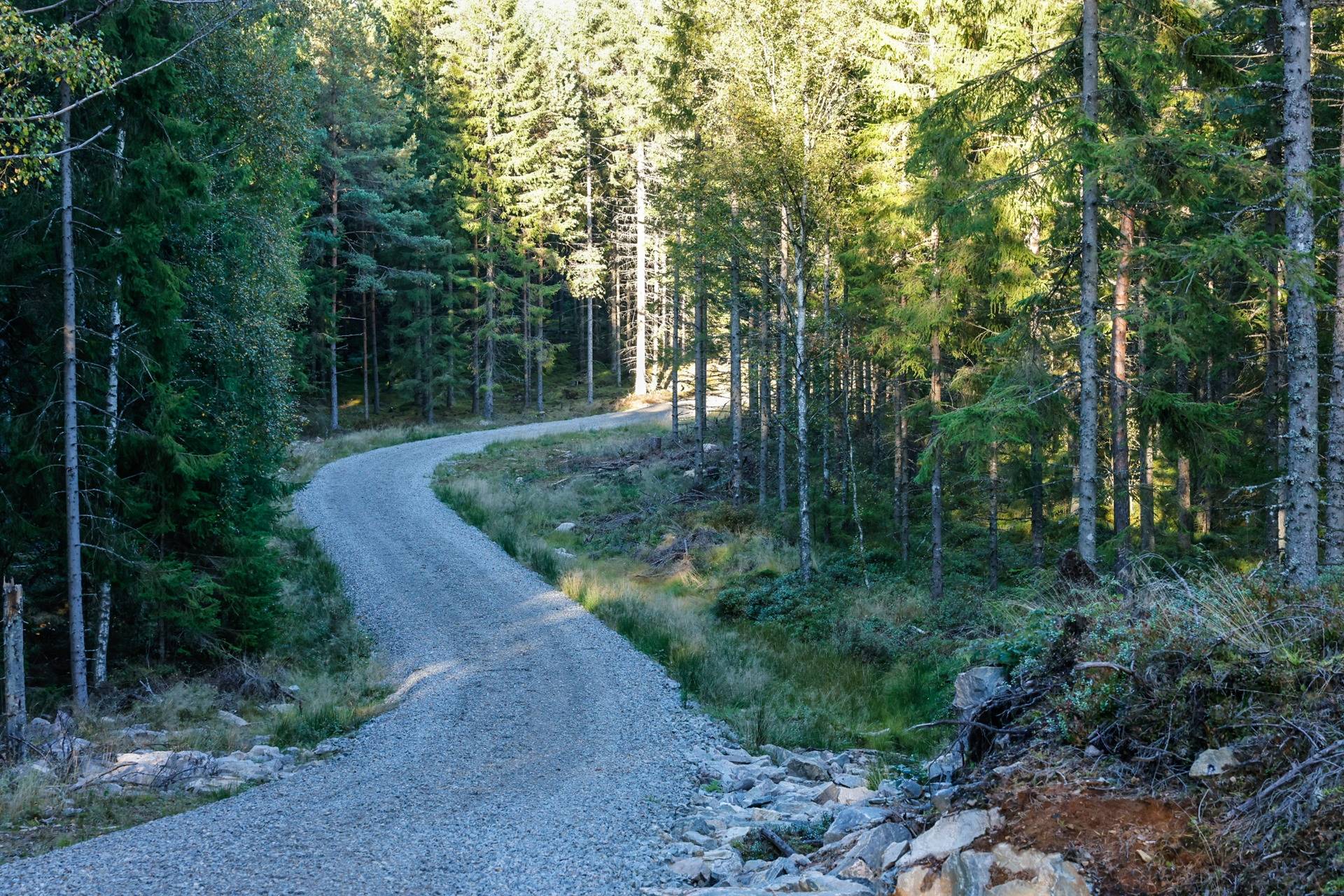 Gård/skog på SVENLJUNGA UGGLEBO 2:3 Örsås Svenljunga kommun - bild 32