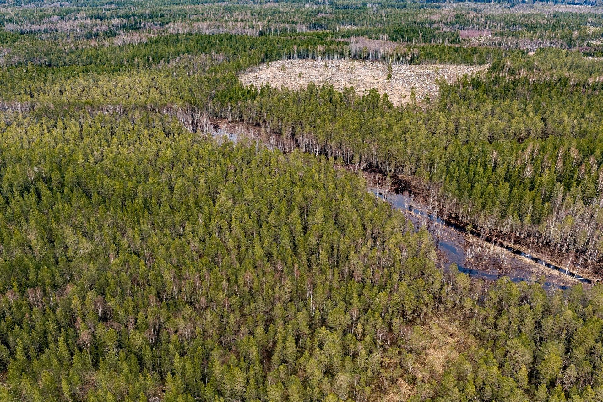 Gård/skog på SÖDERHAMN NORRBO 2:16 Söderhamns kommun - bild 14