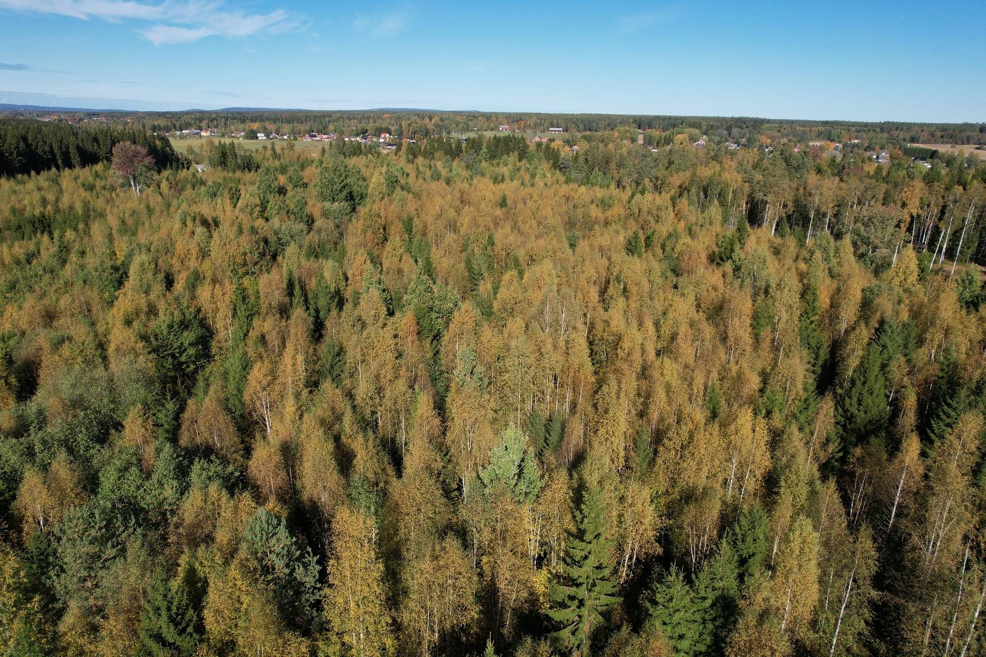 Gård med skogsbruk på Landtjärn Sandvikens kommun - bild 13