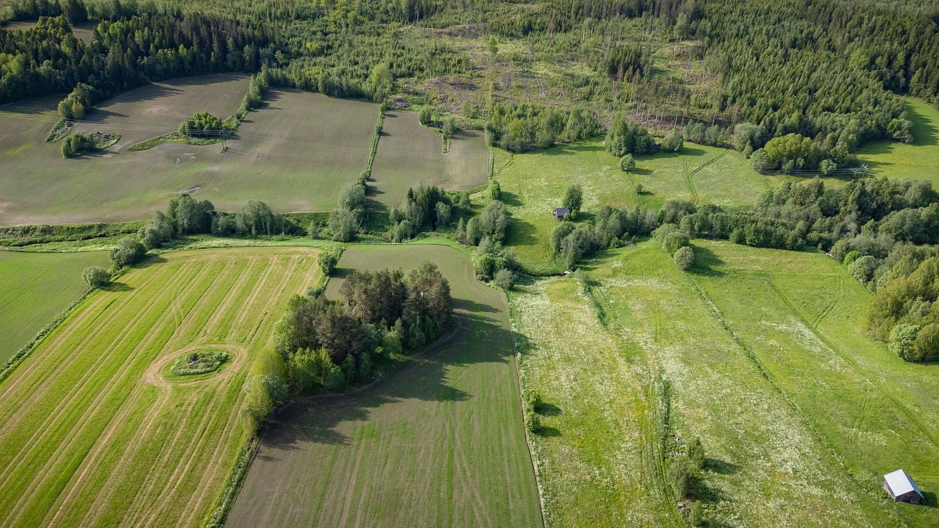Gård med jordbruk på Västerro 118 Västerro Sundsvalls kommun - bild 17