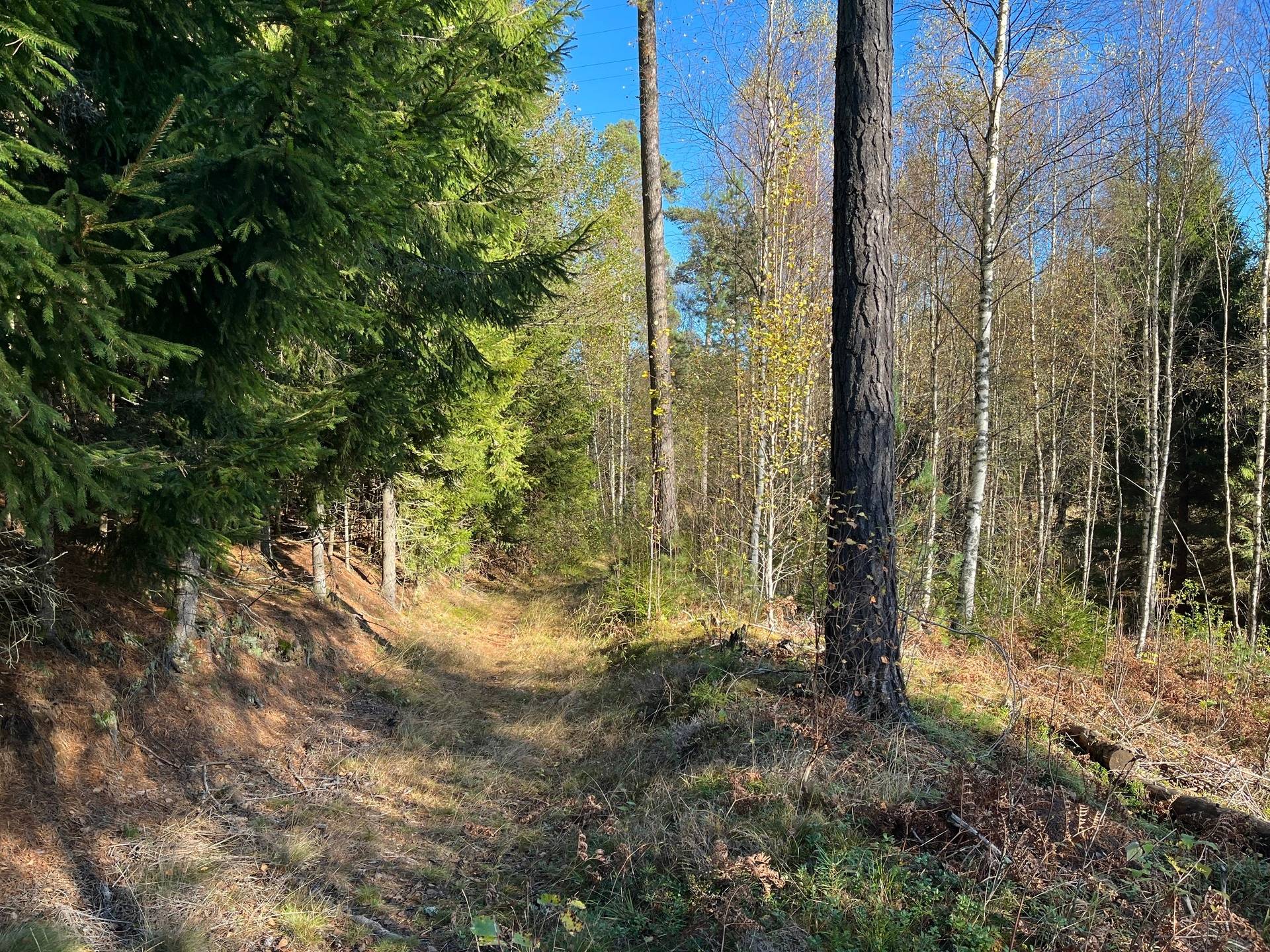 Gård med skogsbruk på Gilltorp 1:11 Skee Strömstads kommun - bild 10