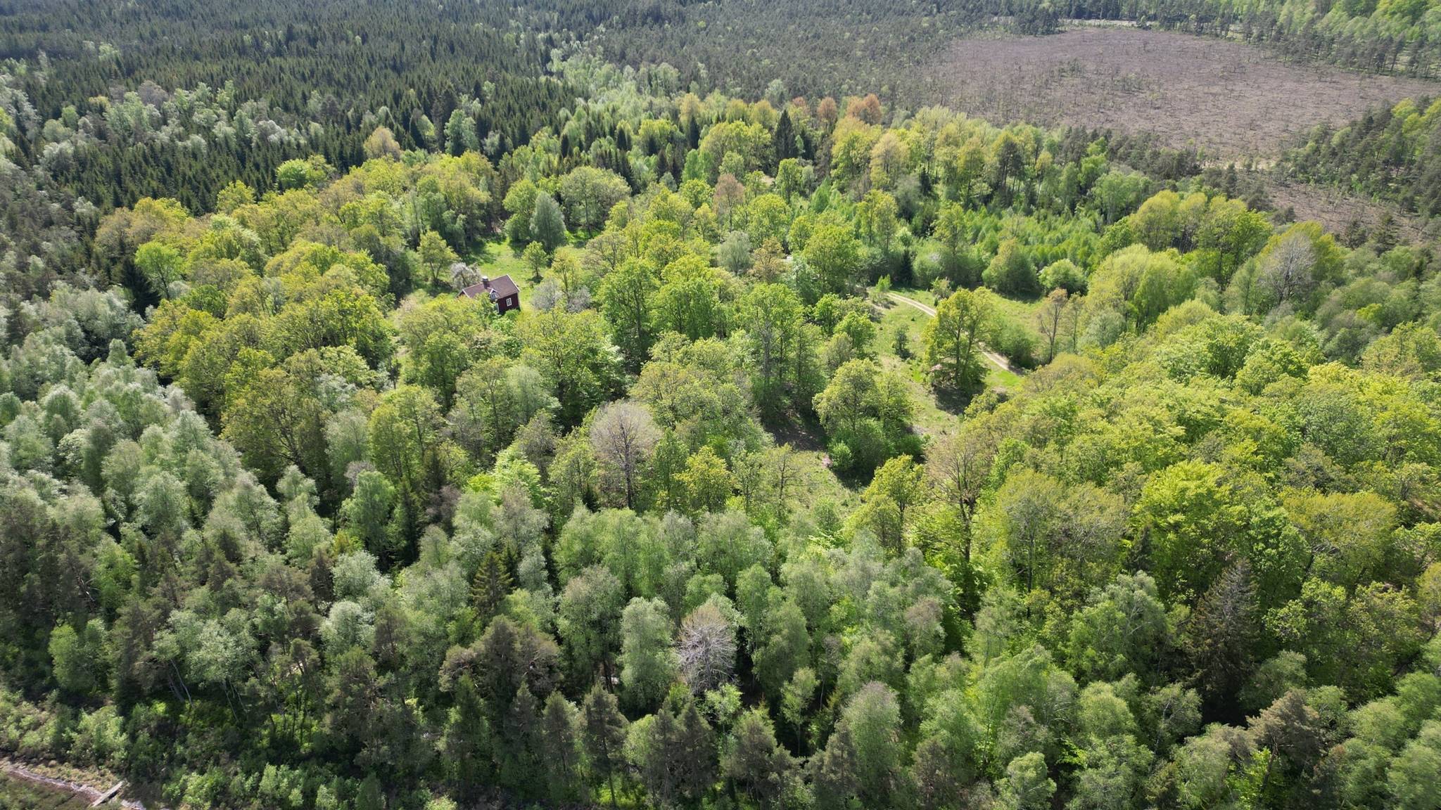 6 rum Gård med jordbruk på Hamra 3417 Markaryds kommun - bild 100