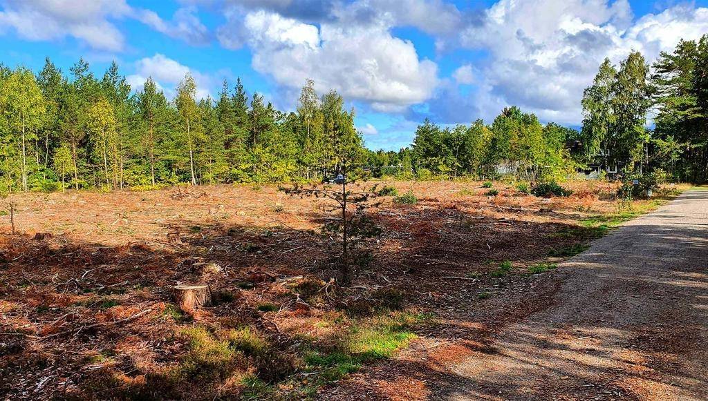 Köpingsvik, Borgholms kommun