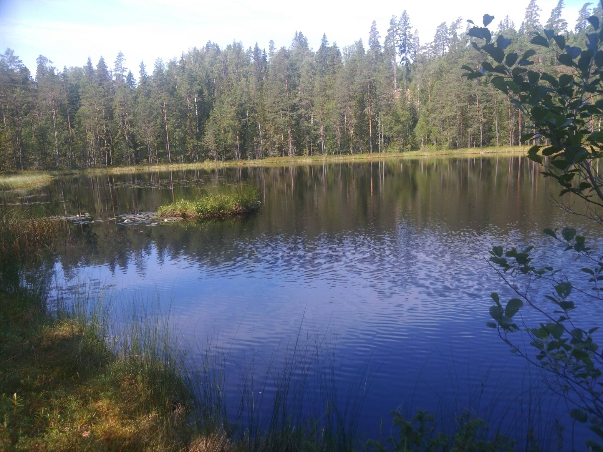 Gård/skog på Hyttskogen Resta Lindesbergs kommun - bild 13